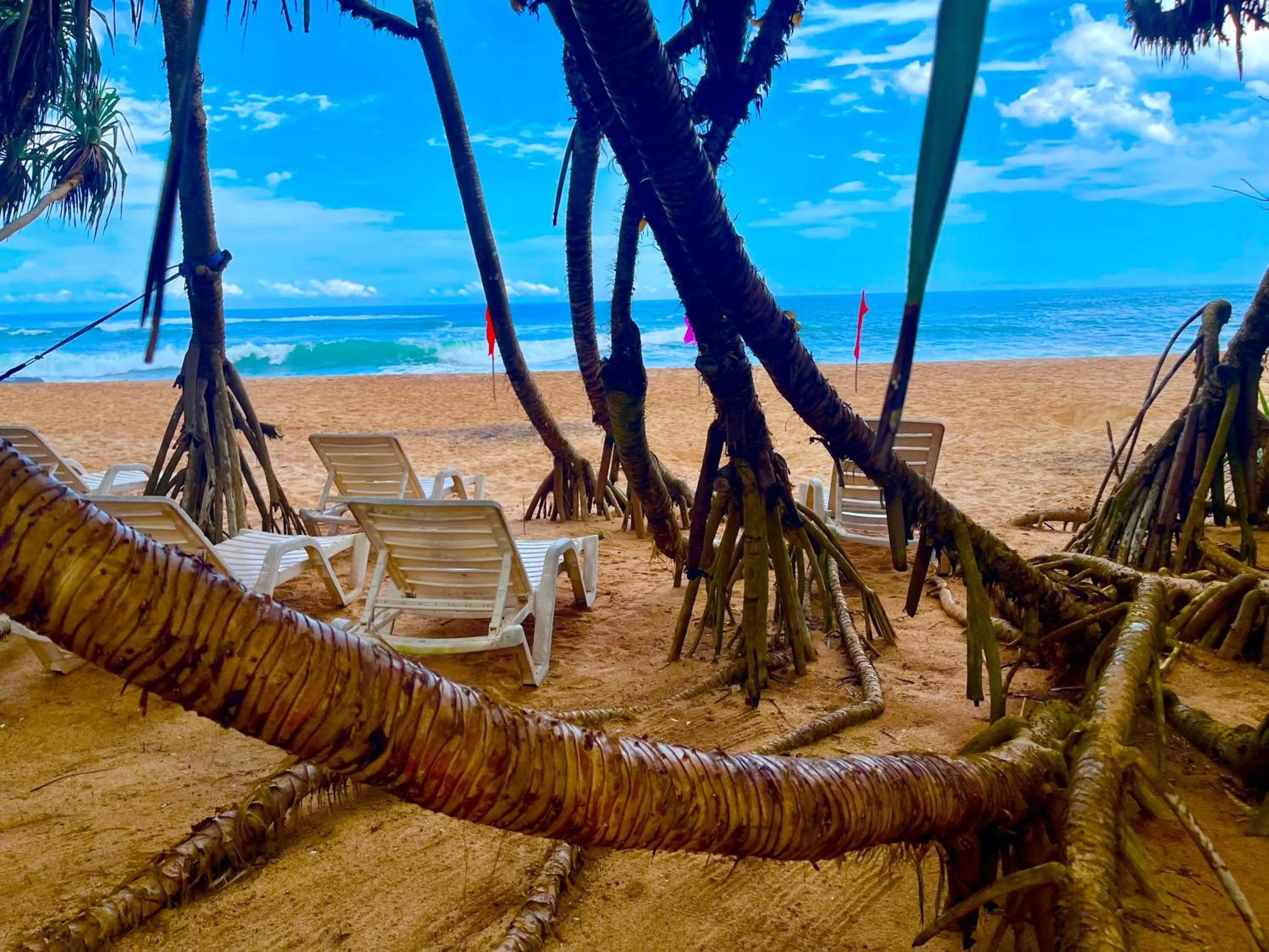 Ashansa Lagoon Resort