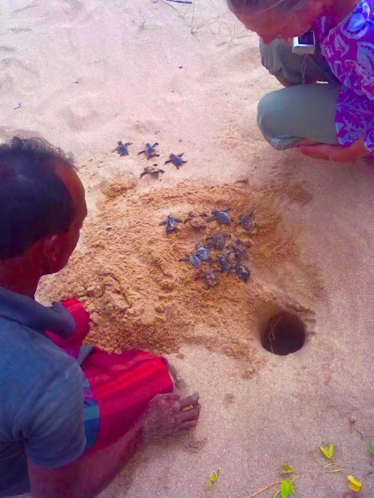 Beach in Ashansa Lagoon Resort