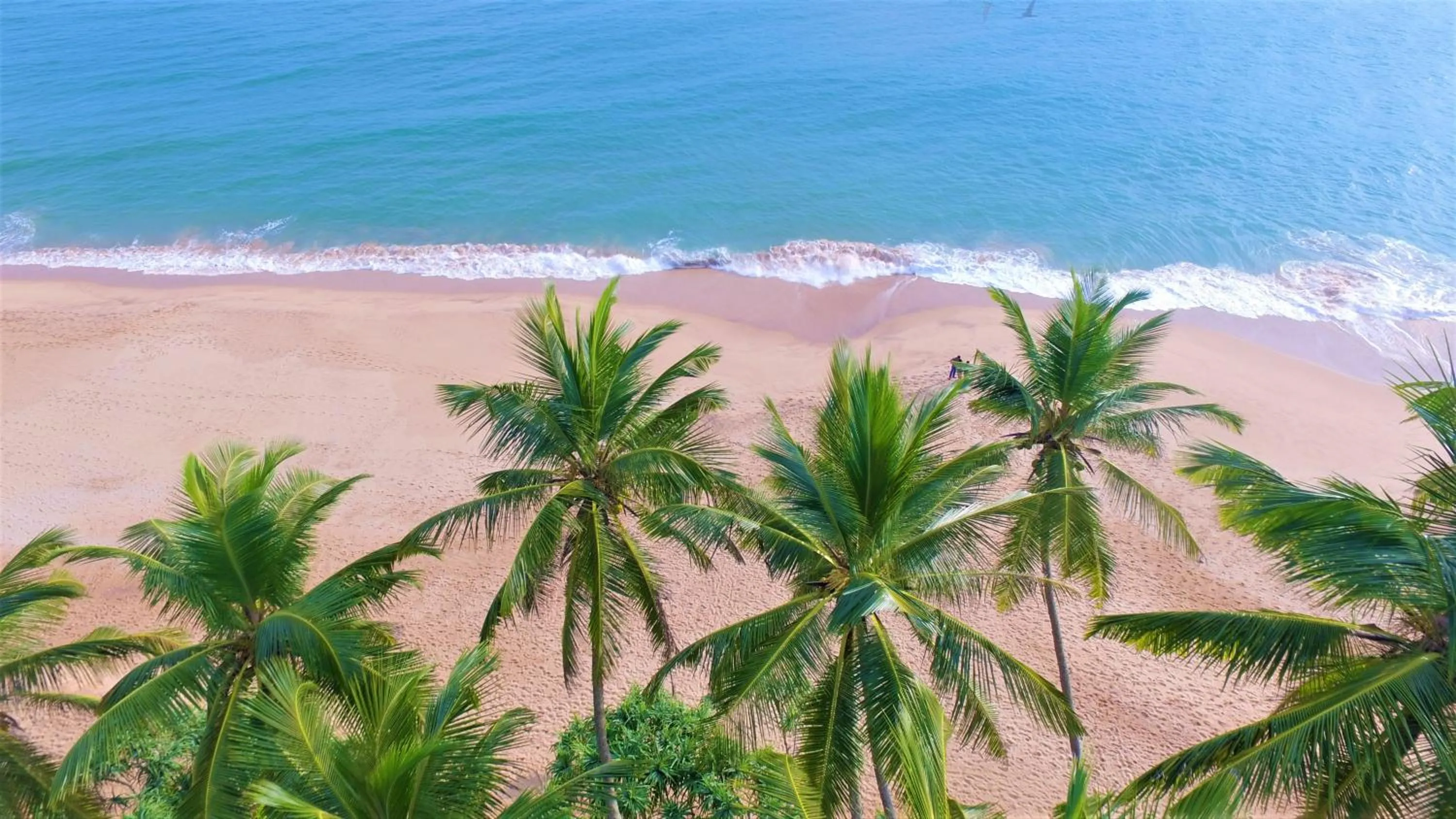 Natural landscape in Ashansa Lagoon Resort