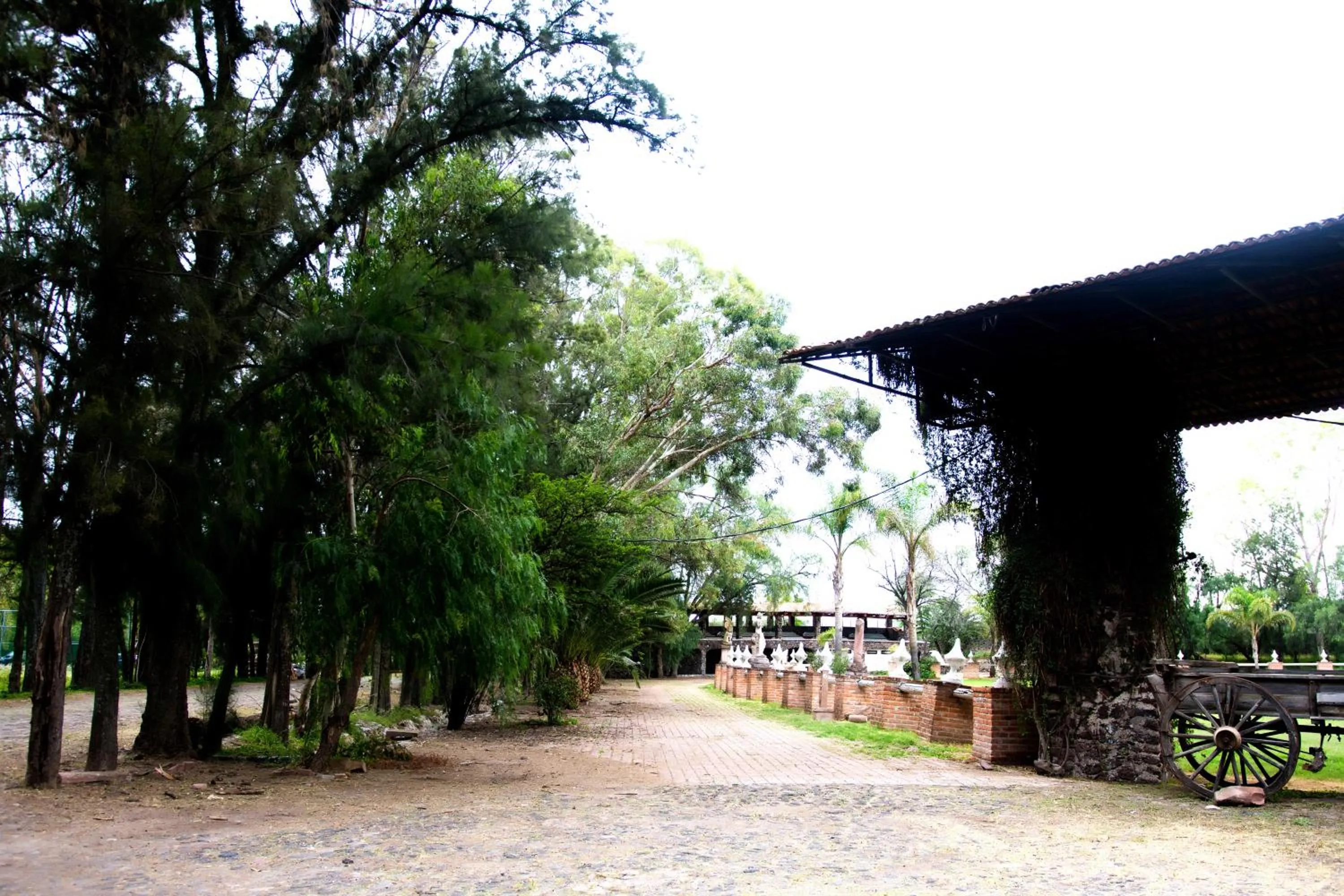 Garden in Hotel Ex Hacienda La Pitaya Querétaro