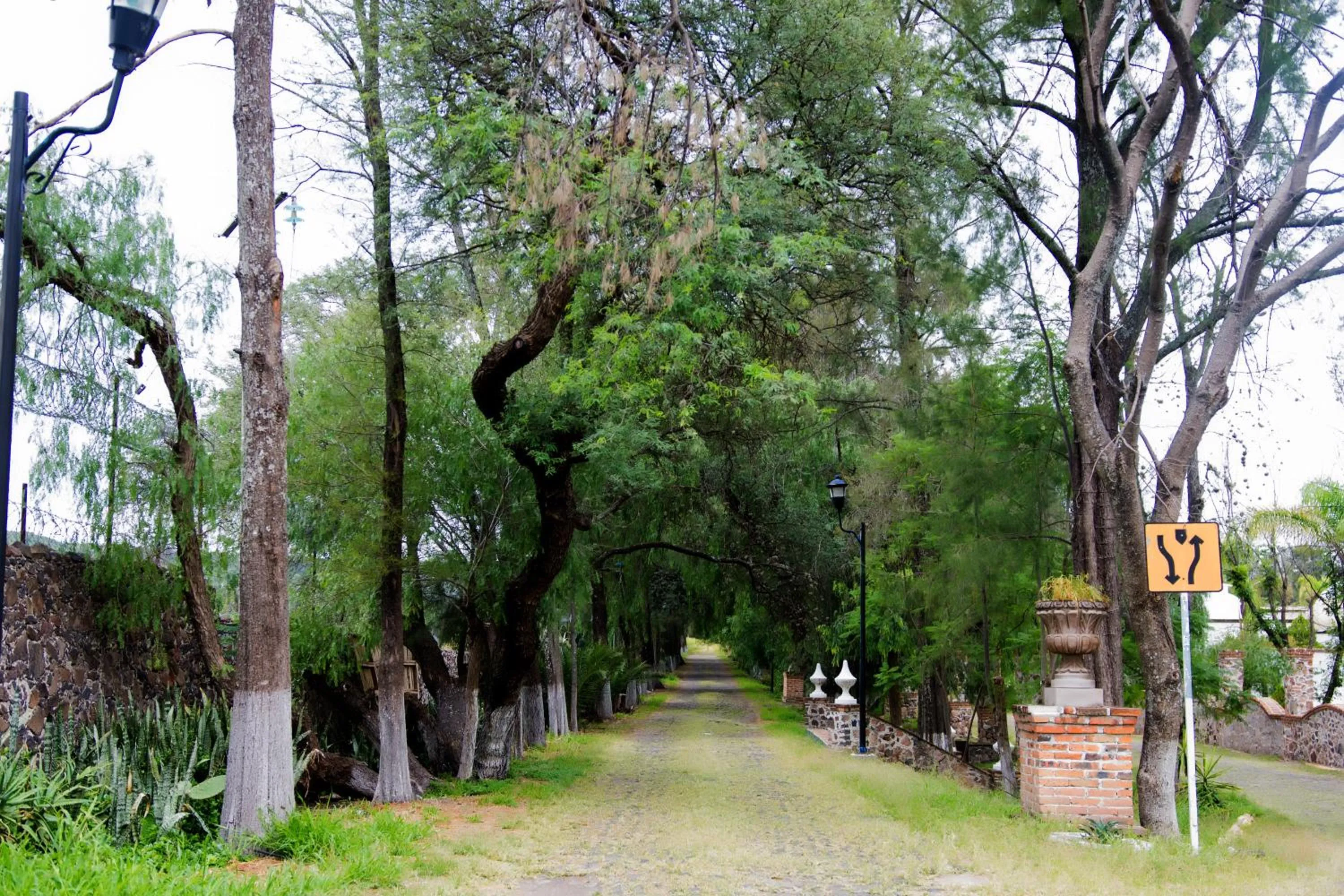 Garden in Hotel Ex Hacienda La Pitaya Querétaro