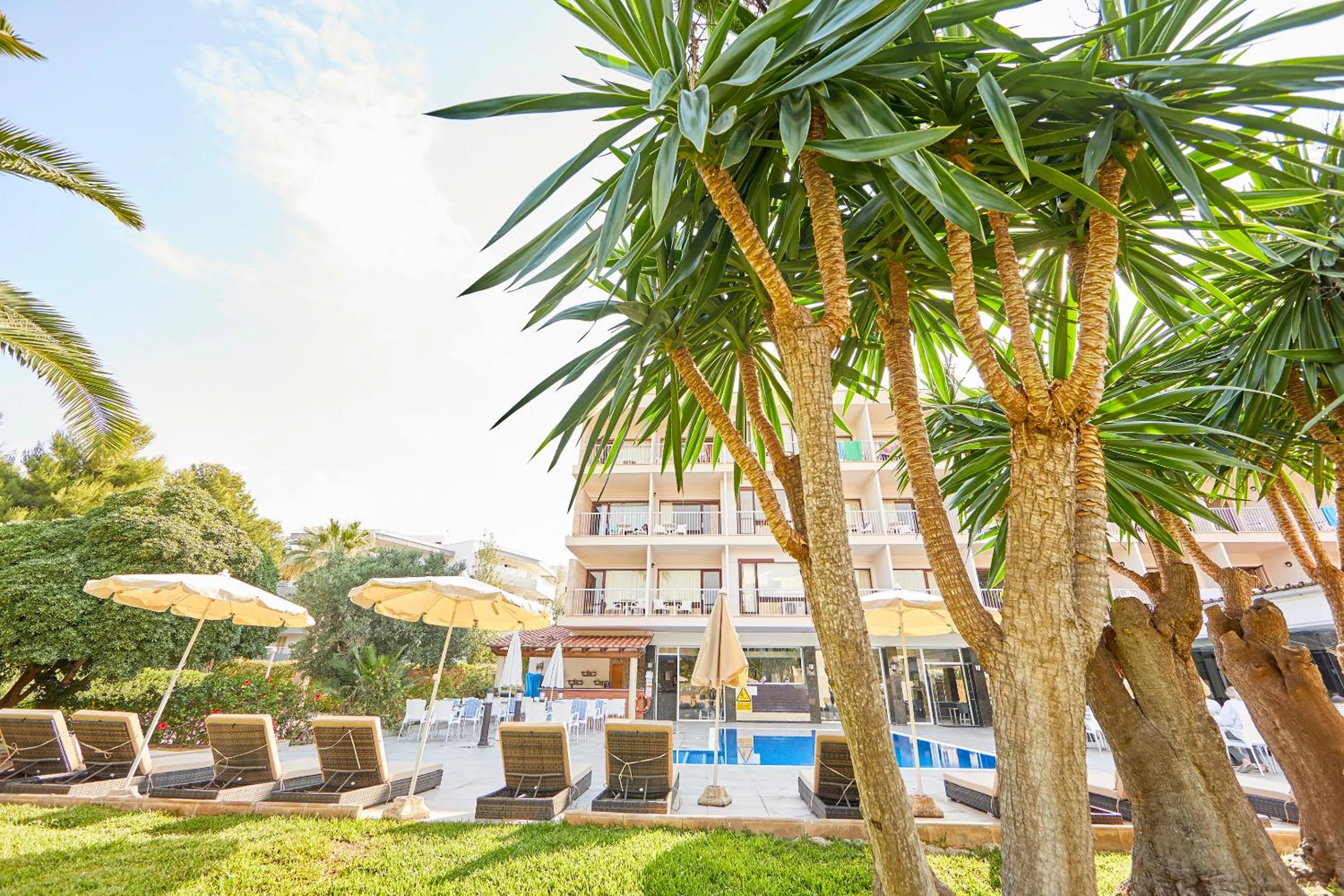 Garden in NURA Condor