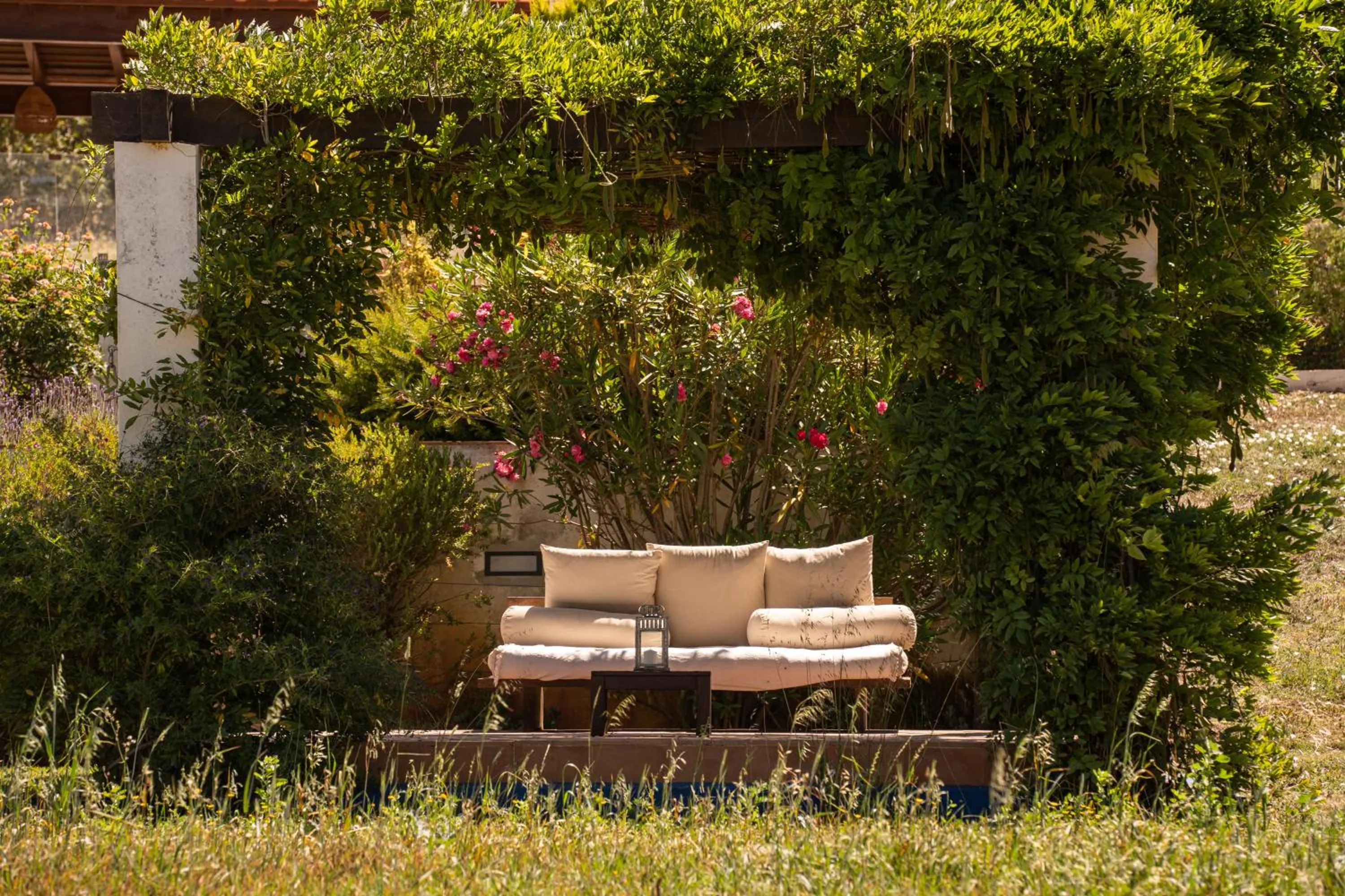 Garden in Vale da Cassiopeia