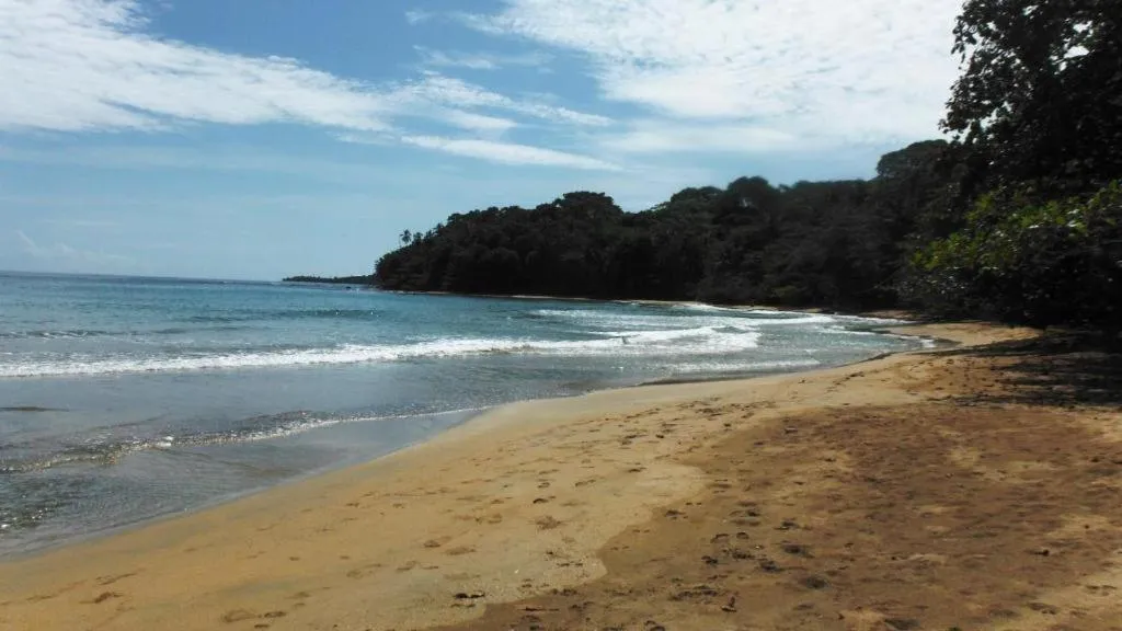 Beach in Casa Moabi
