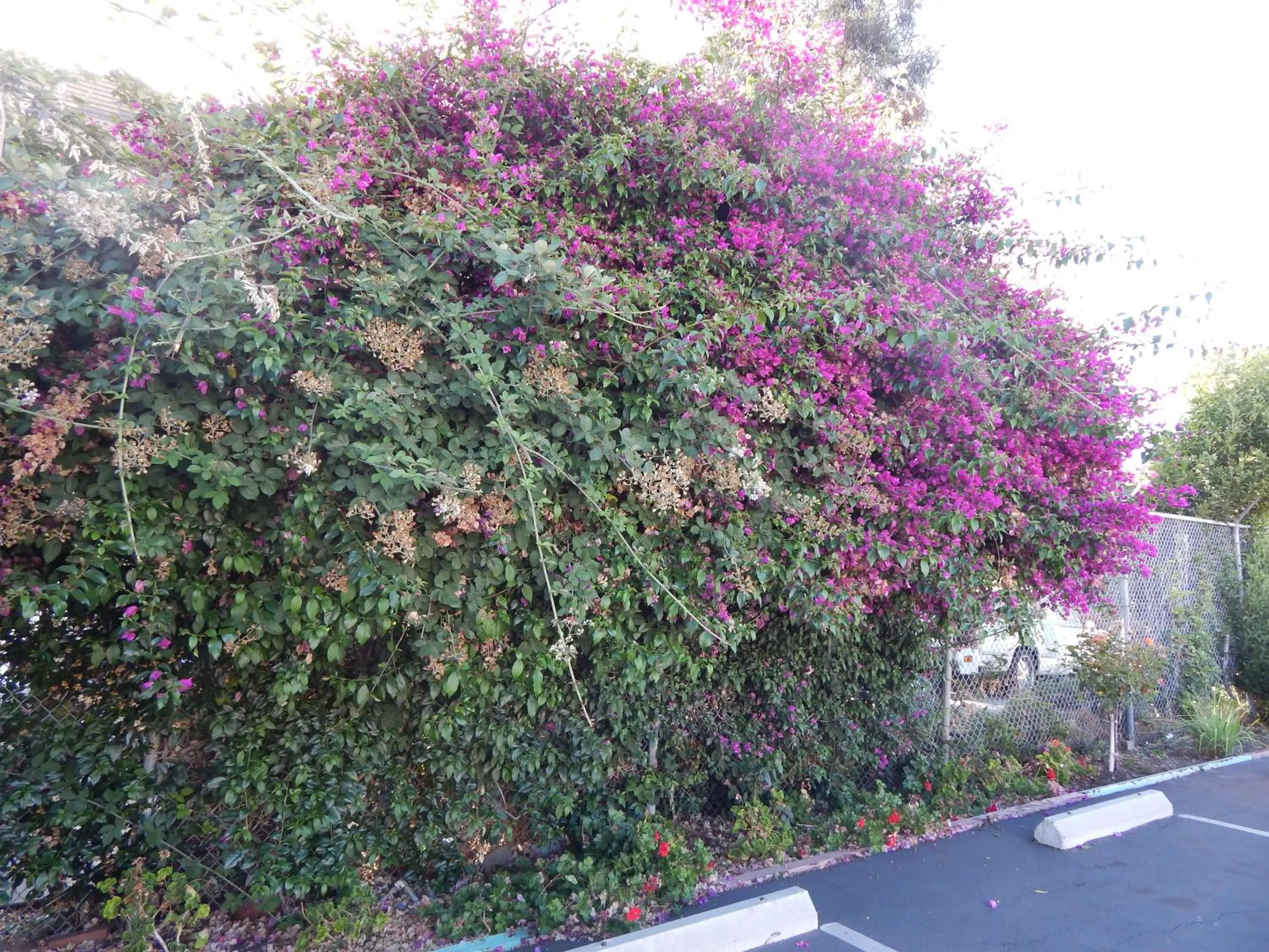 Other in Bay Bridge Inn Oakland