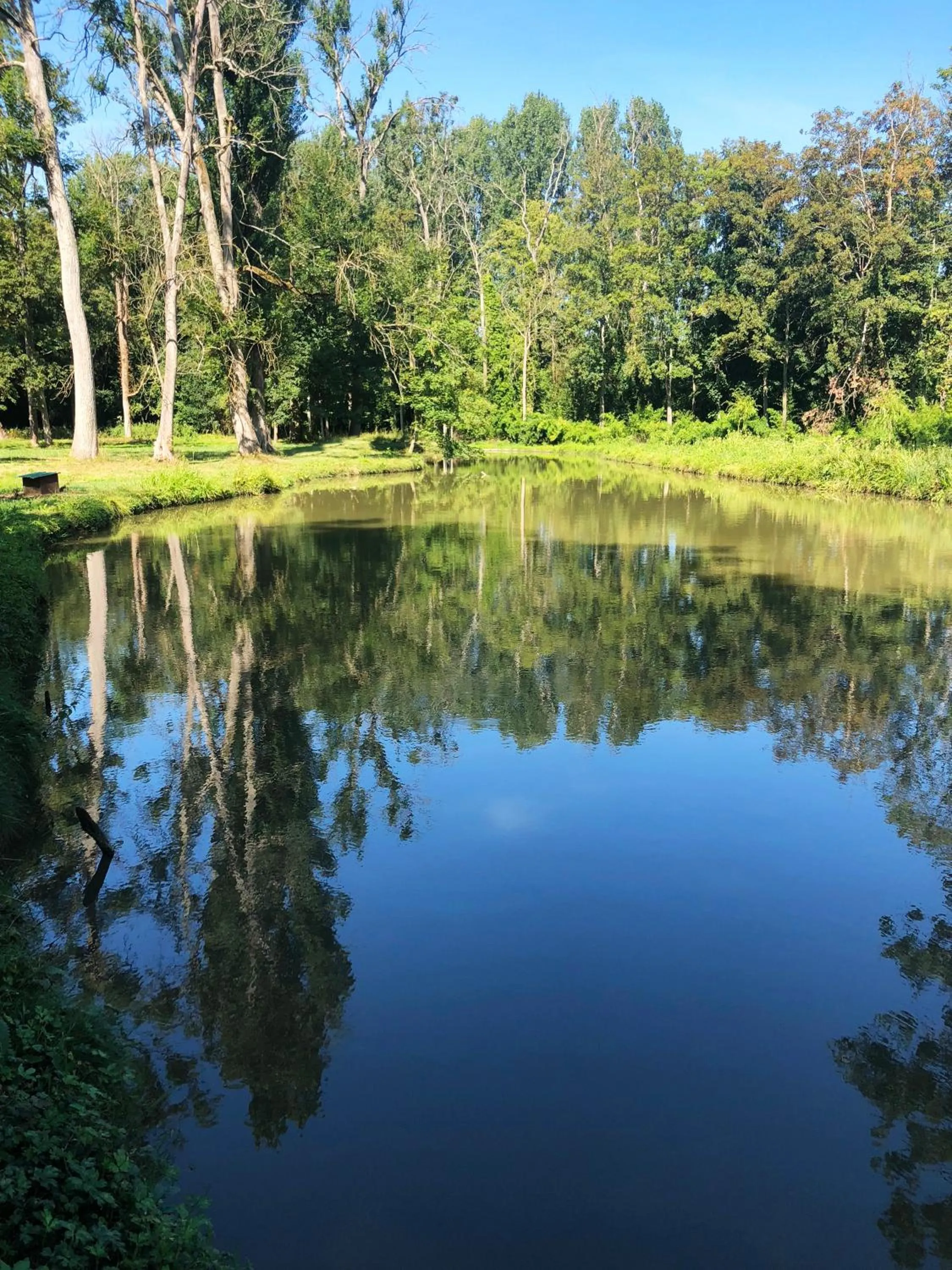 Natural landscape in Domaine du Plessis