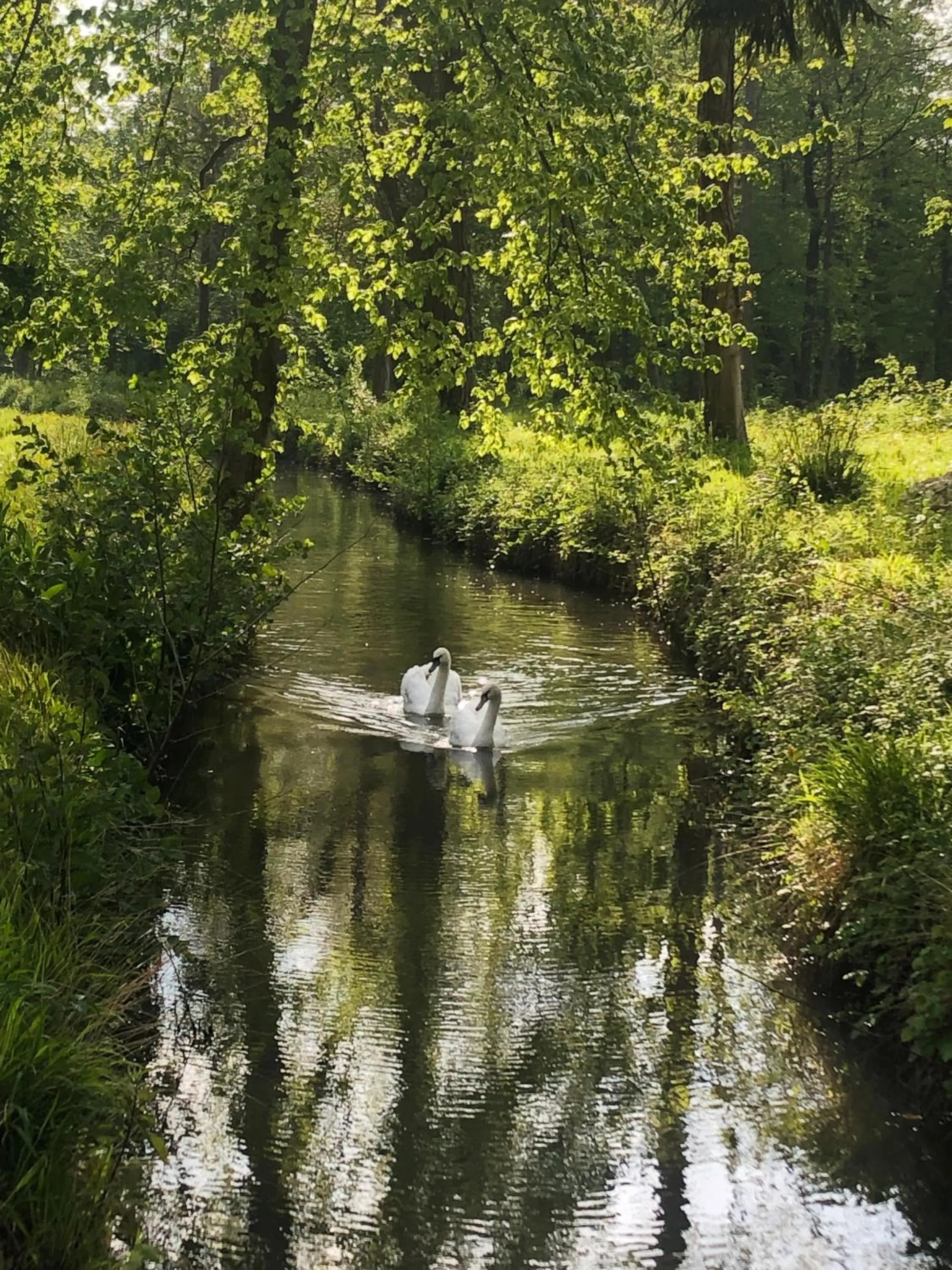 Natural landscape in Domaine du Plessis