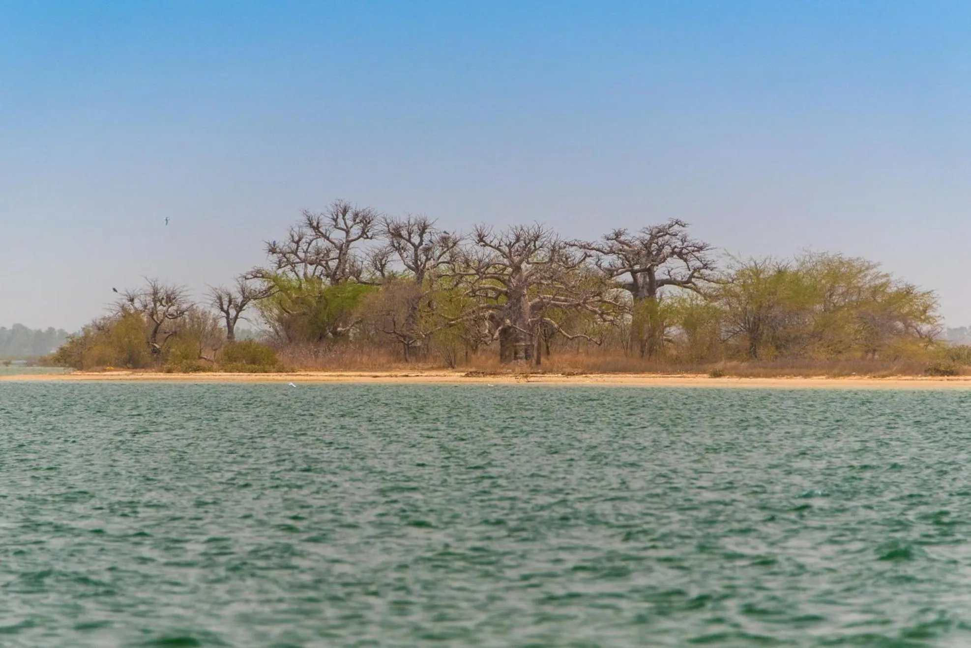 Entertainment in Le Saly Hotel & Hotel Club Filaos - All Inclusive