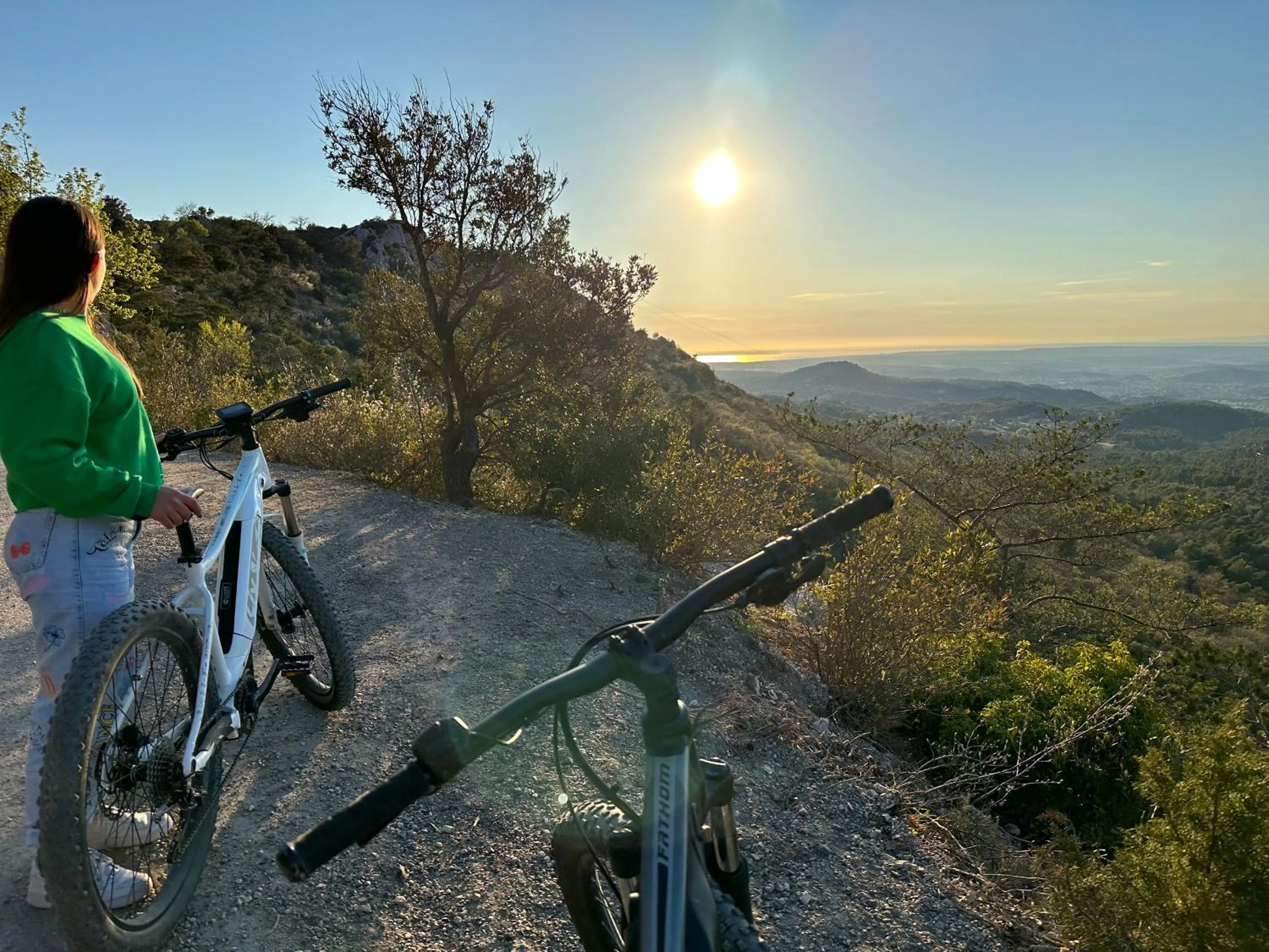 Logis Hotel Restaurant Le Grand Puech