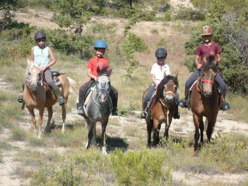 Horse-riding in Logis Hotel Restaurant Le Grand Puech