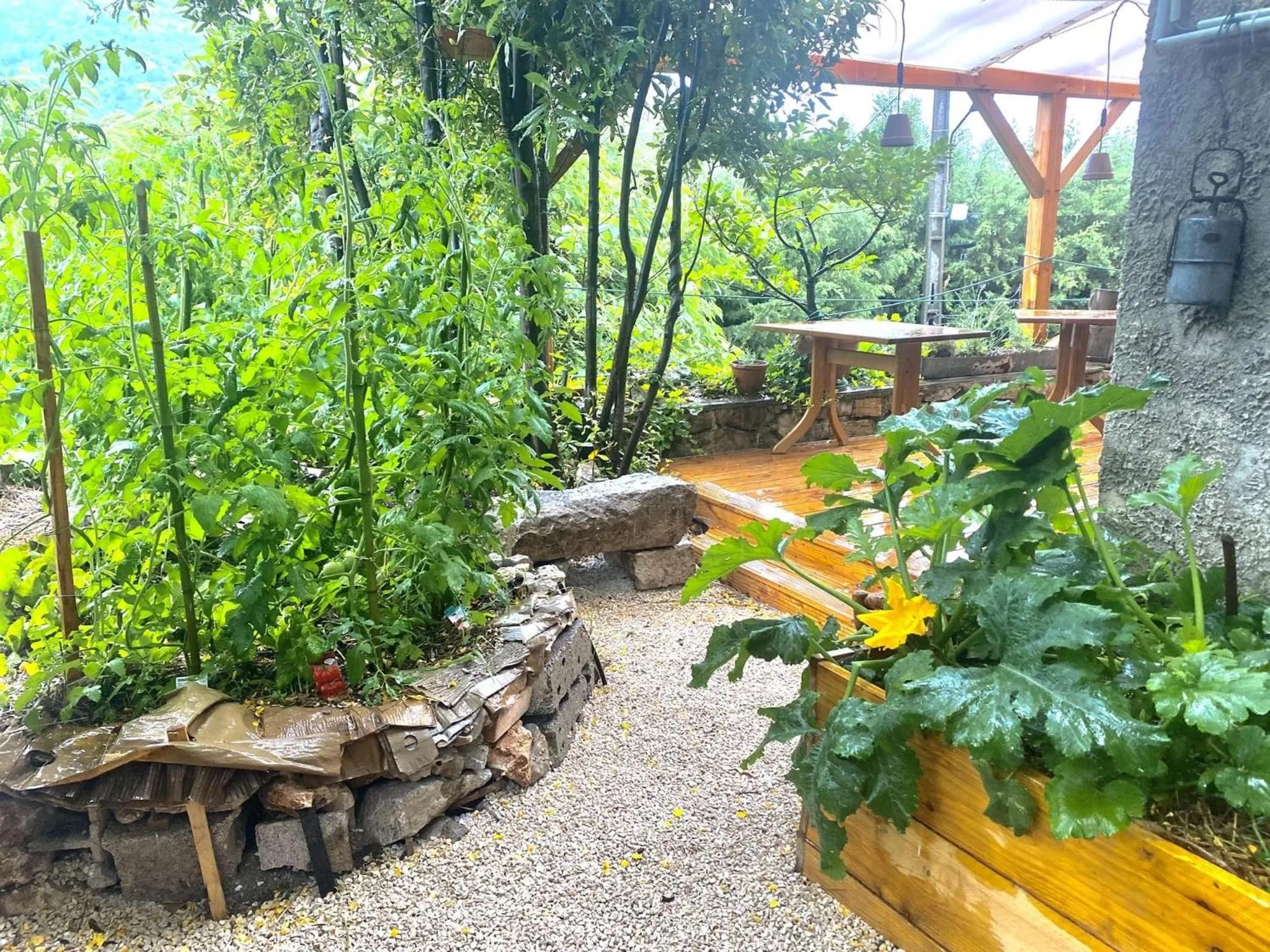 Garden in Logis Hotel Restaurant Le Grand Puech