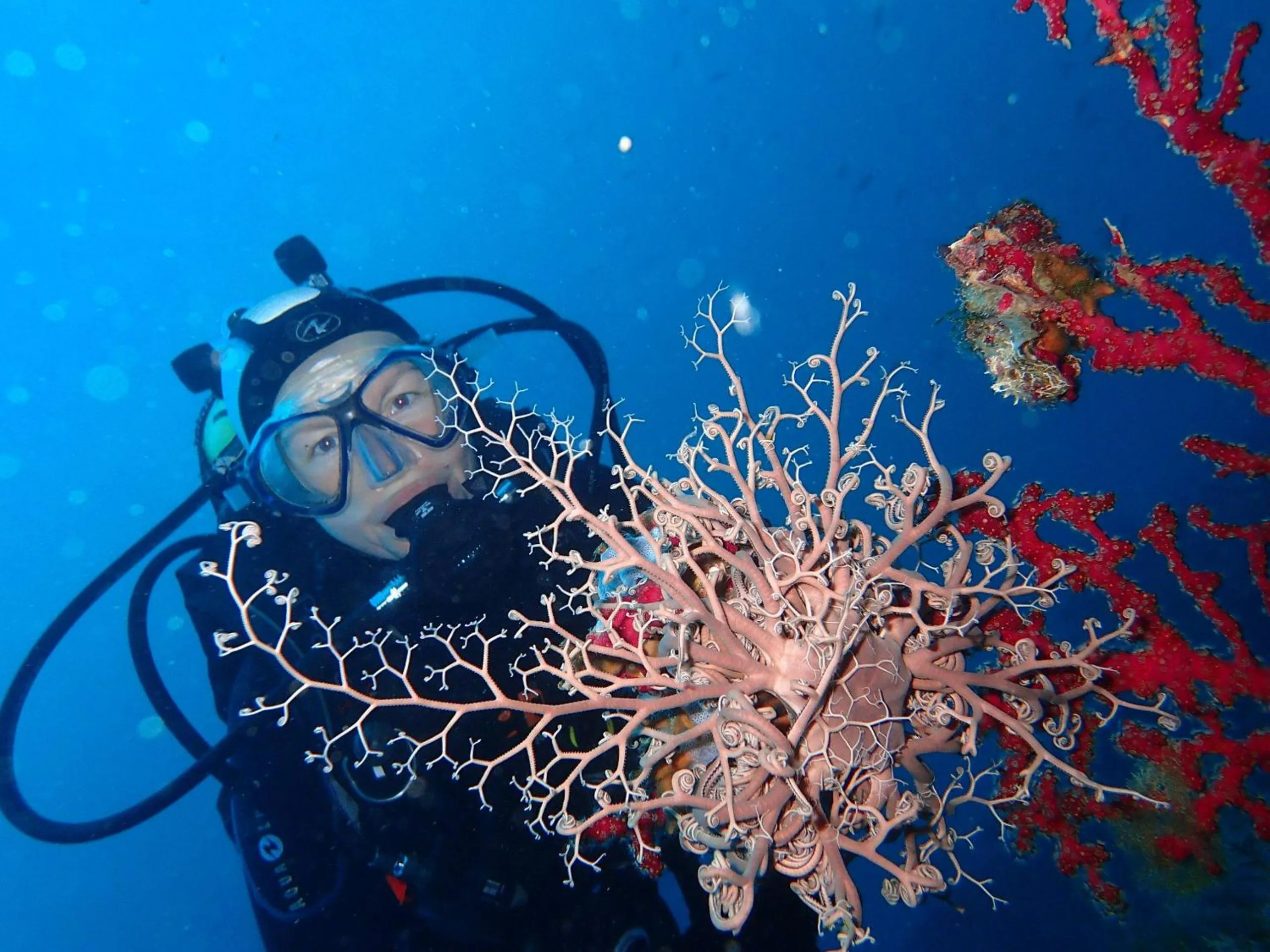 Diving in Logis Hotel Restaurant Le Grand Puech