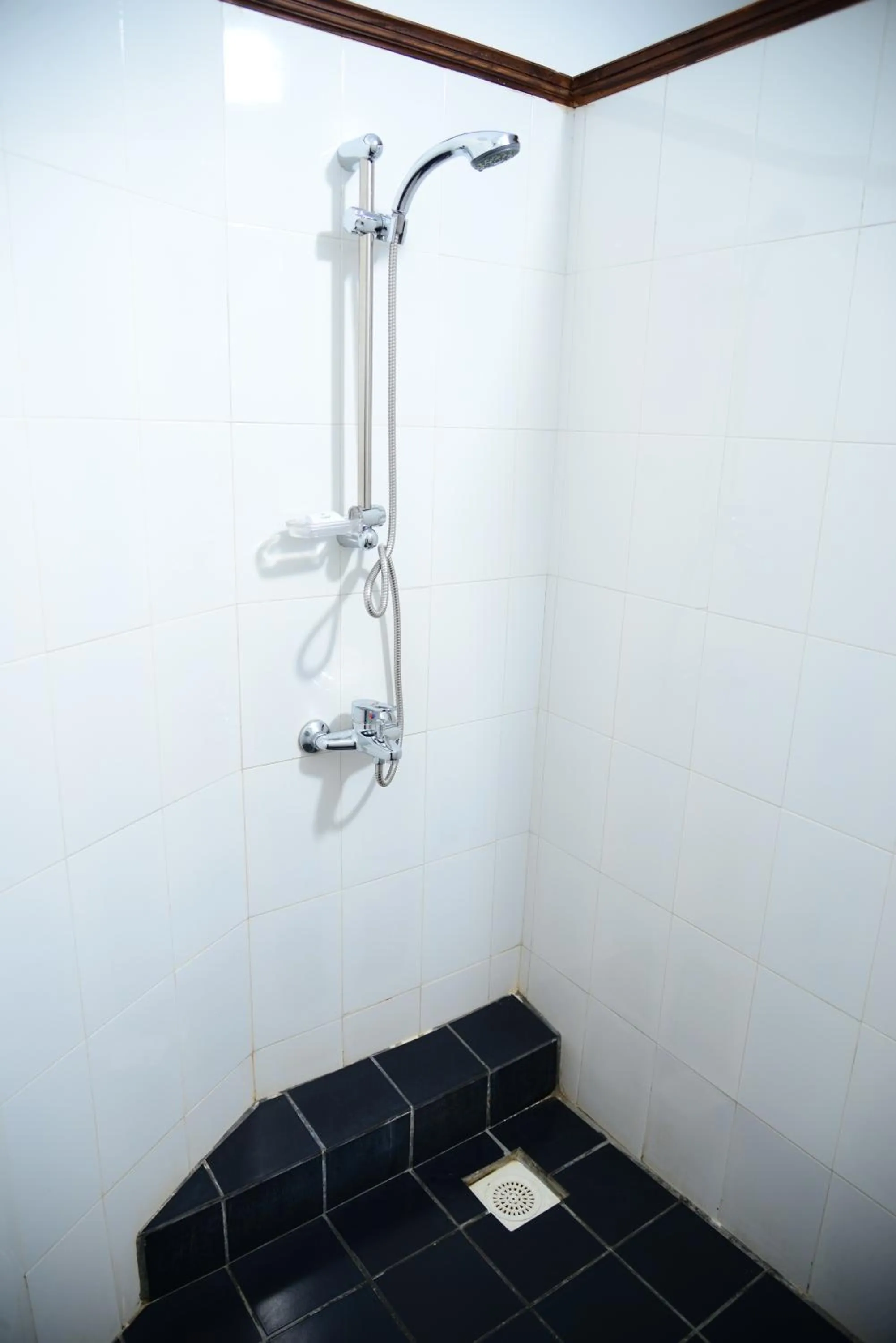 Shower in Mount Royal