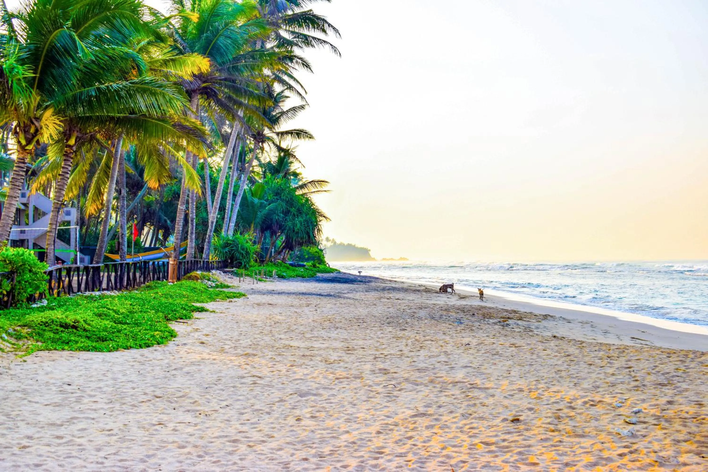 Day in Insight Resort Ahangama - S&S Other Certified