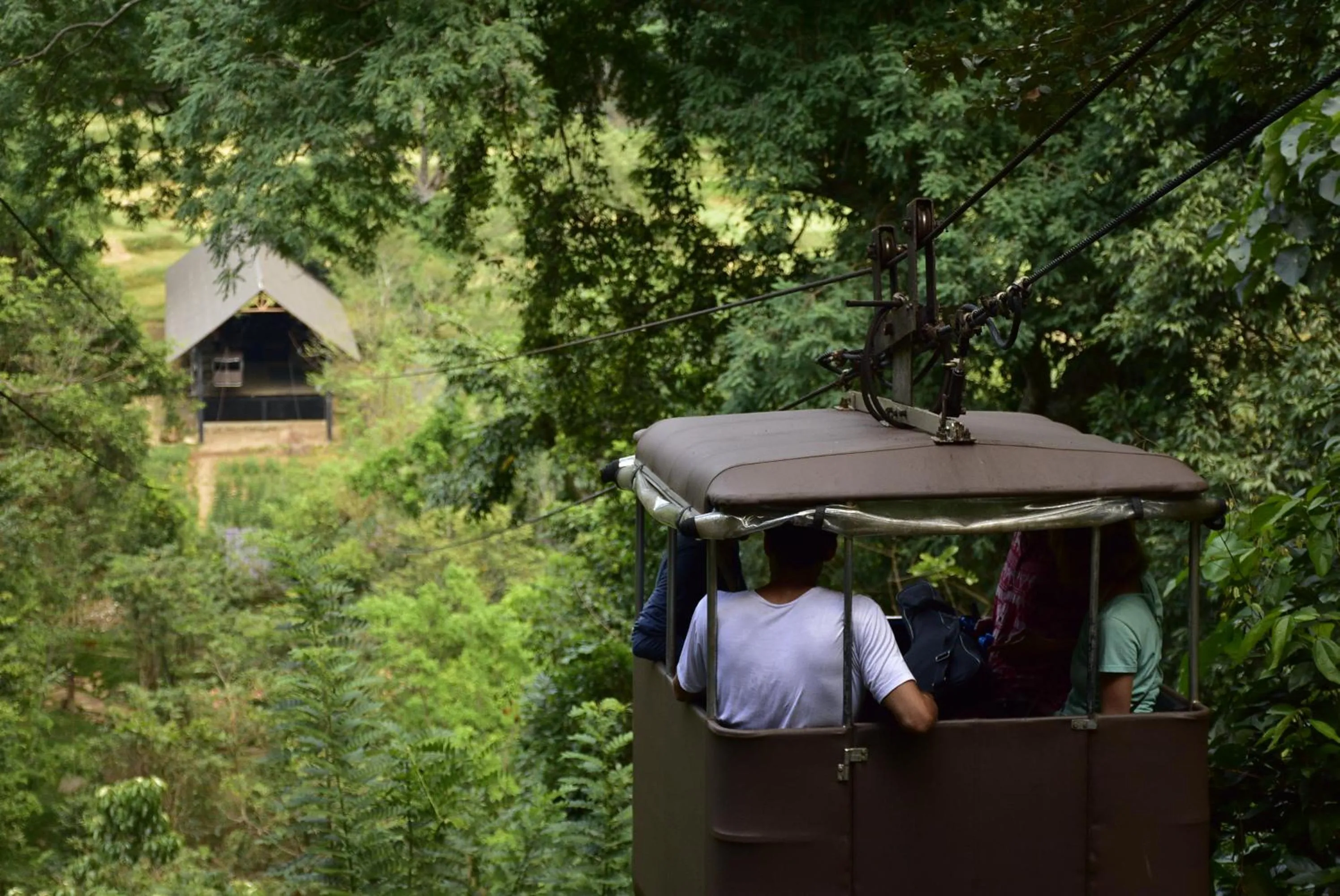 Lobby or reception in Ella Jungle Resort