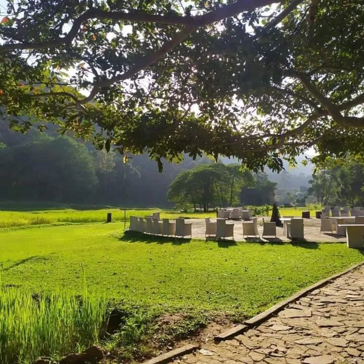 Natural landscape in Ella Jungle Resort