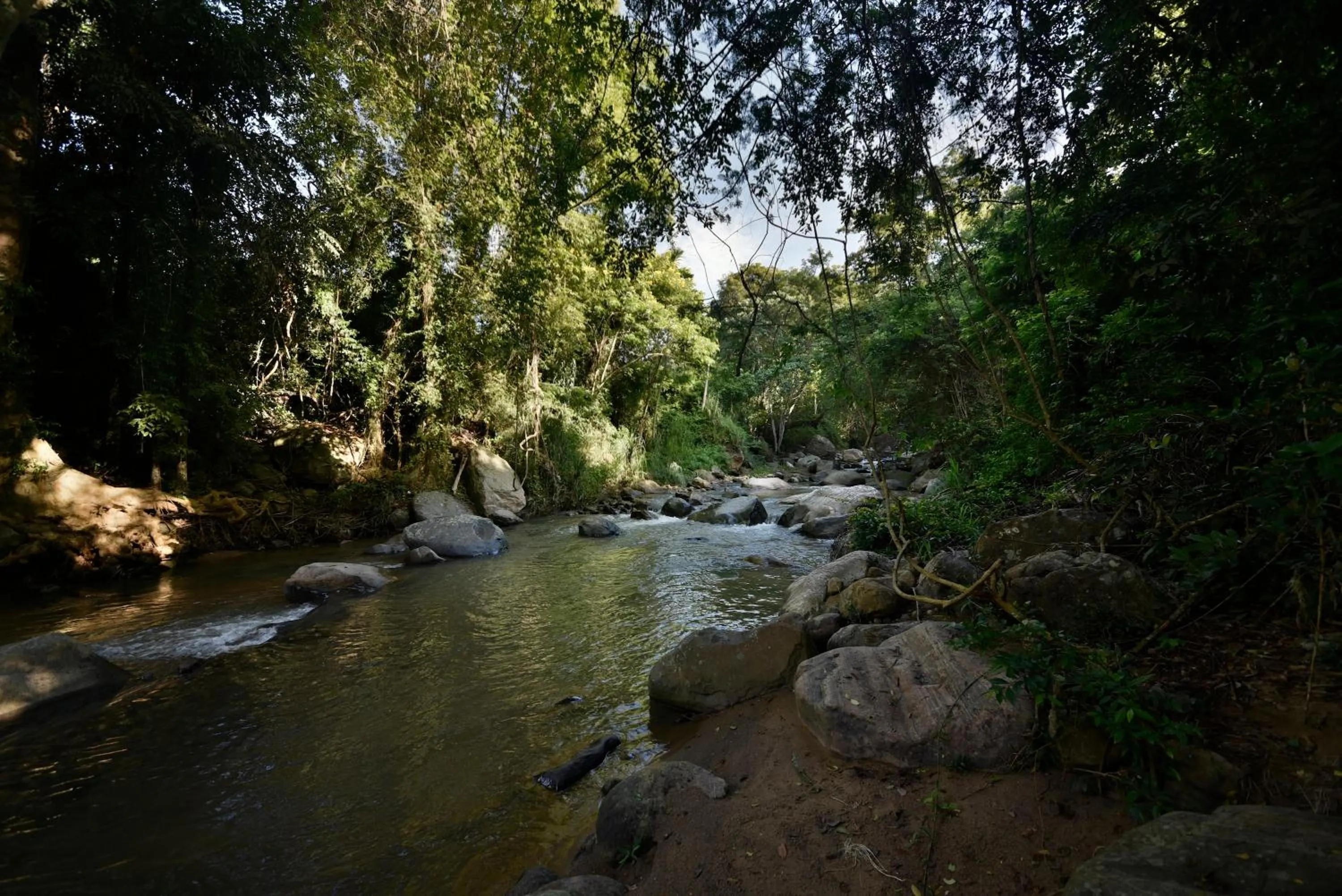 Other in Ella Jungle Resort