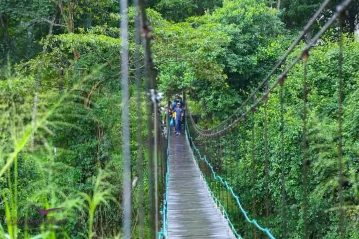 Natural landscape in Ella Jungle Resort
