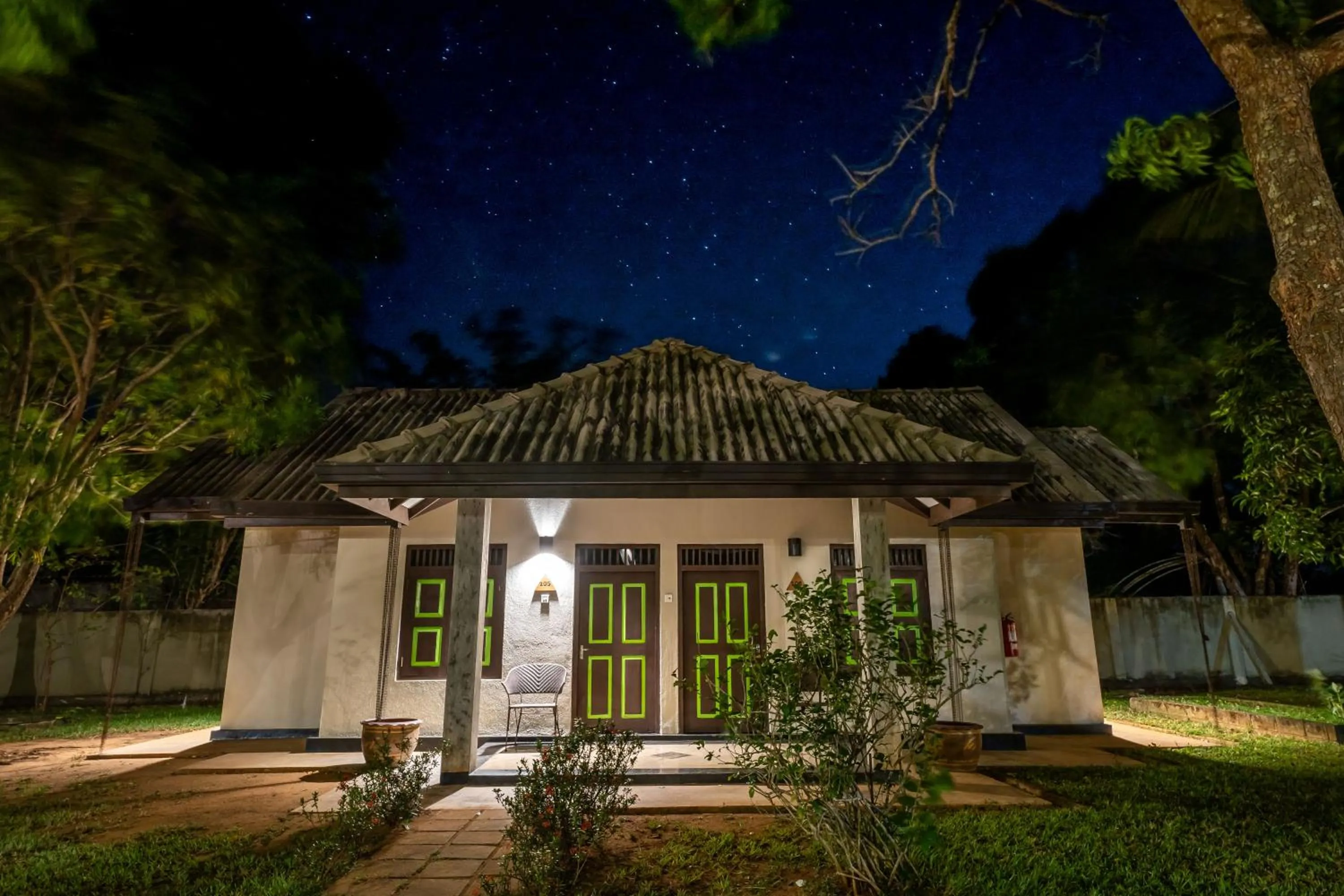 Night in Oak Ray Elephant Lake