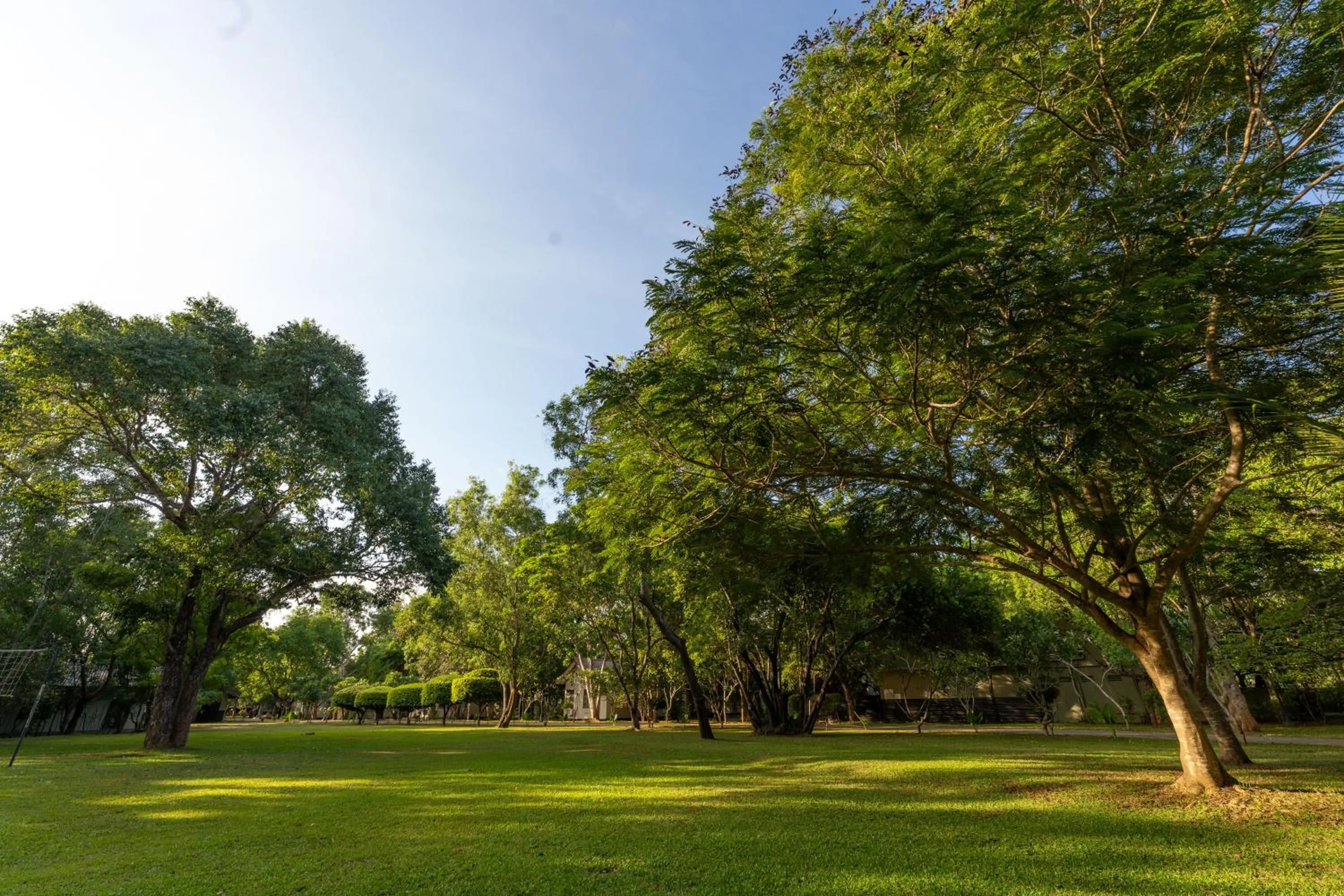 Garden in Oak Ray Elephant Lake