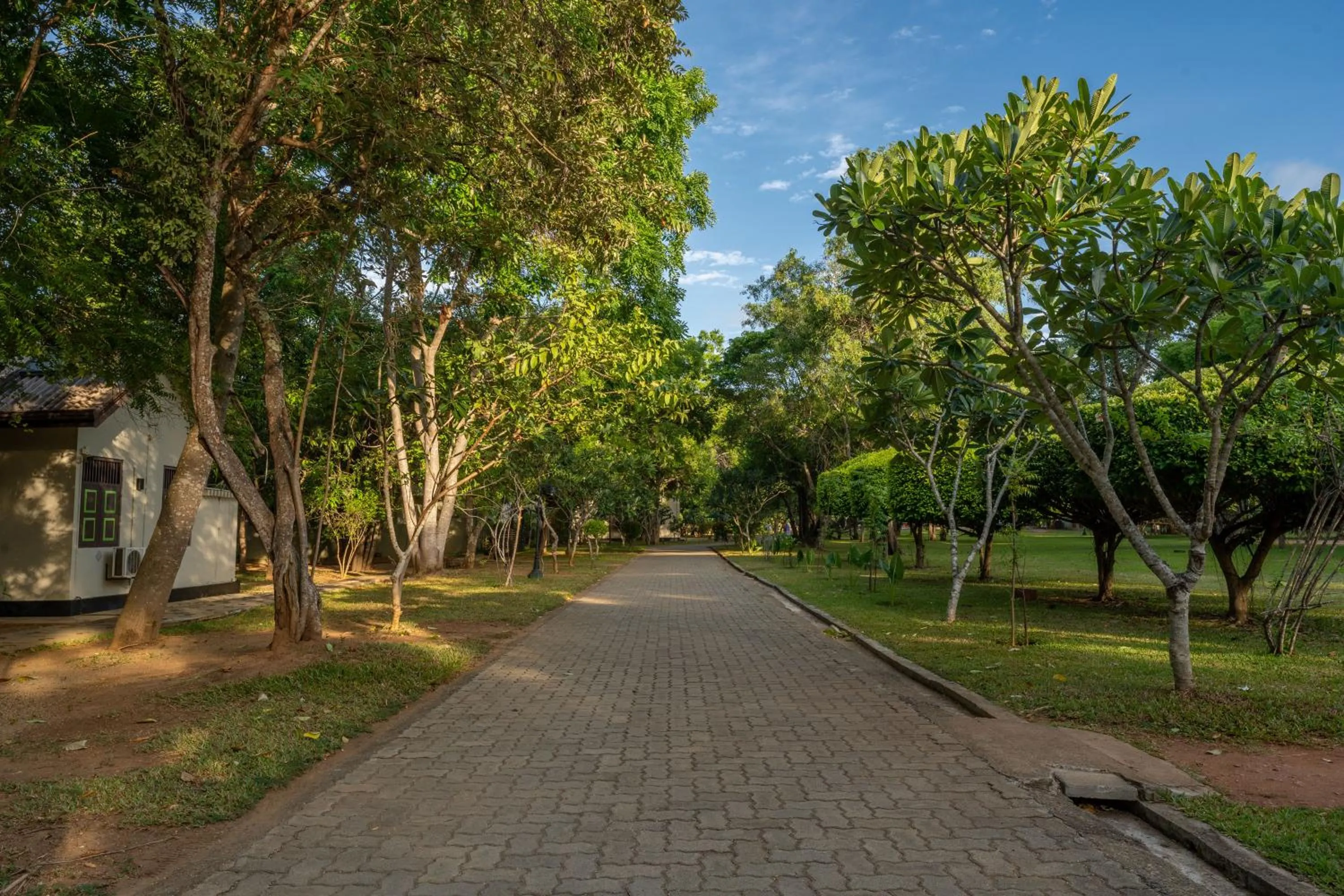 Garden view in Oak Ray Elephant Lake