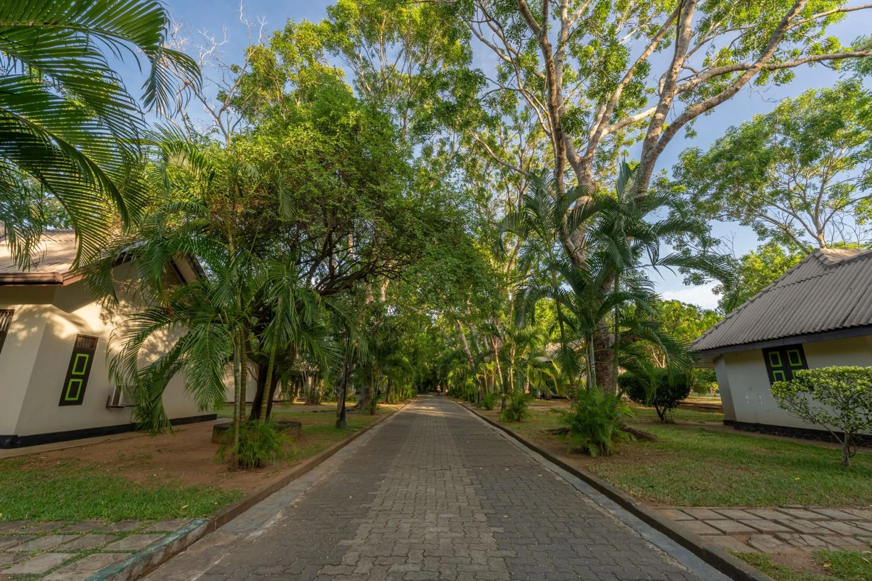 Garden in Oak Ray Elephant Lake