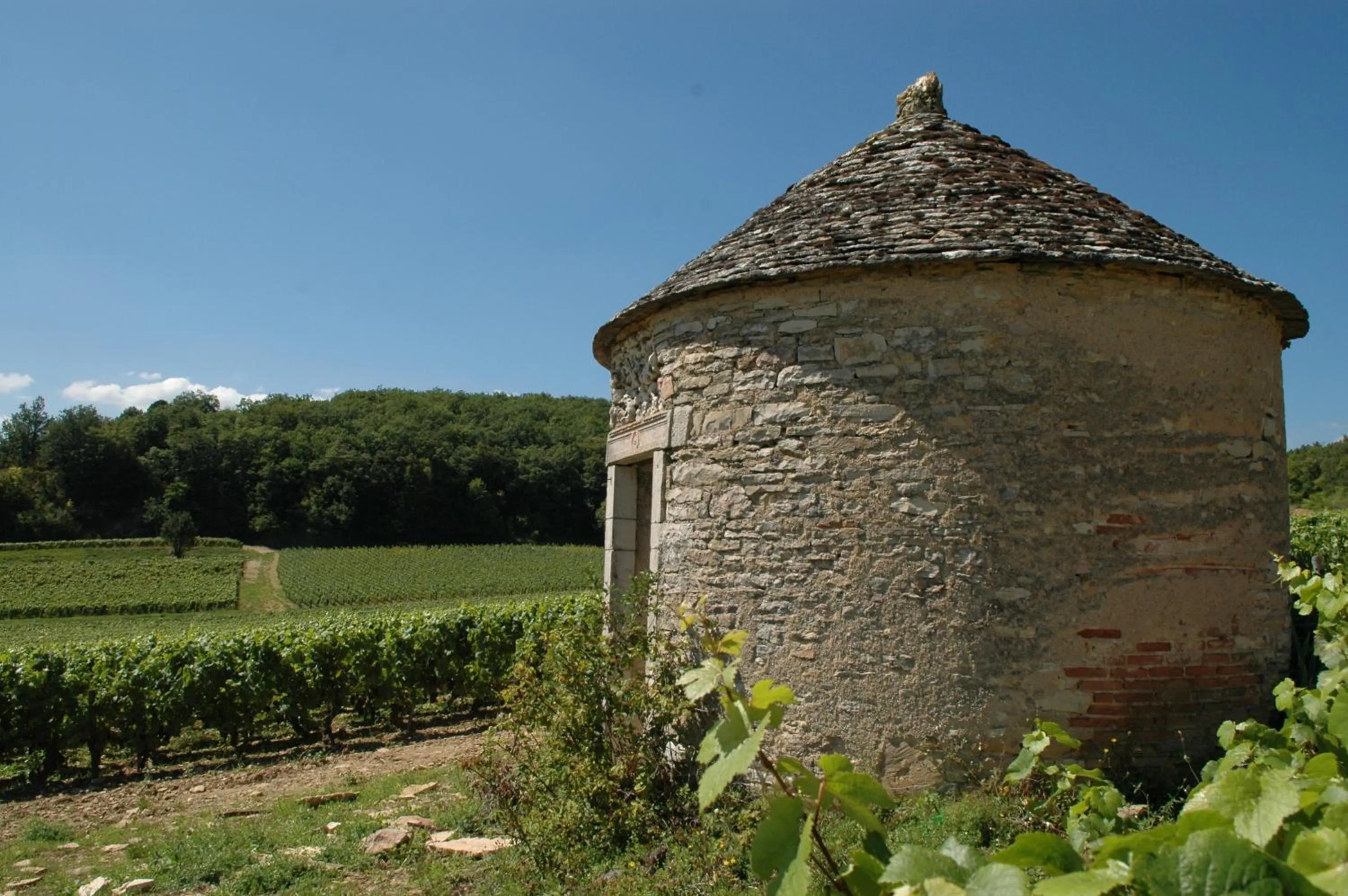 Activities in Hotel ibis Dijon Centre Clemenceau