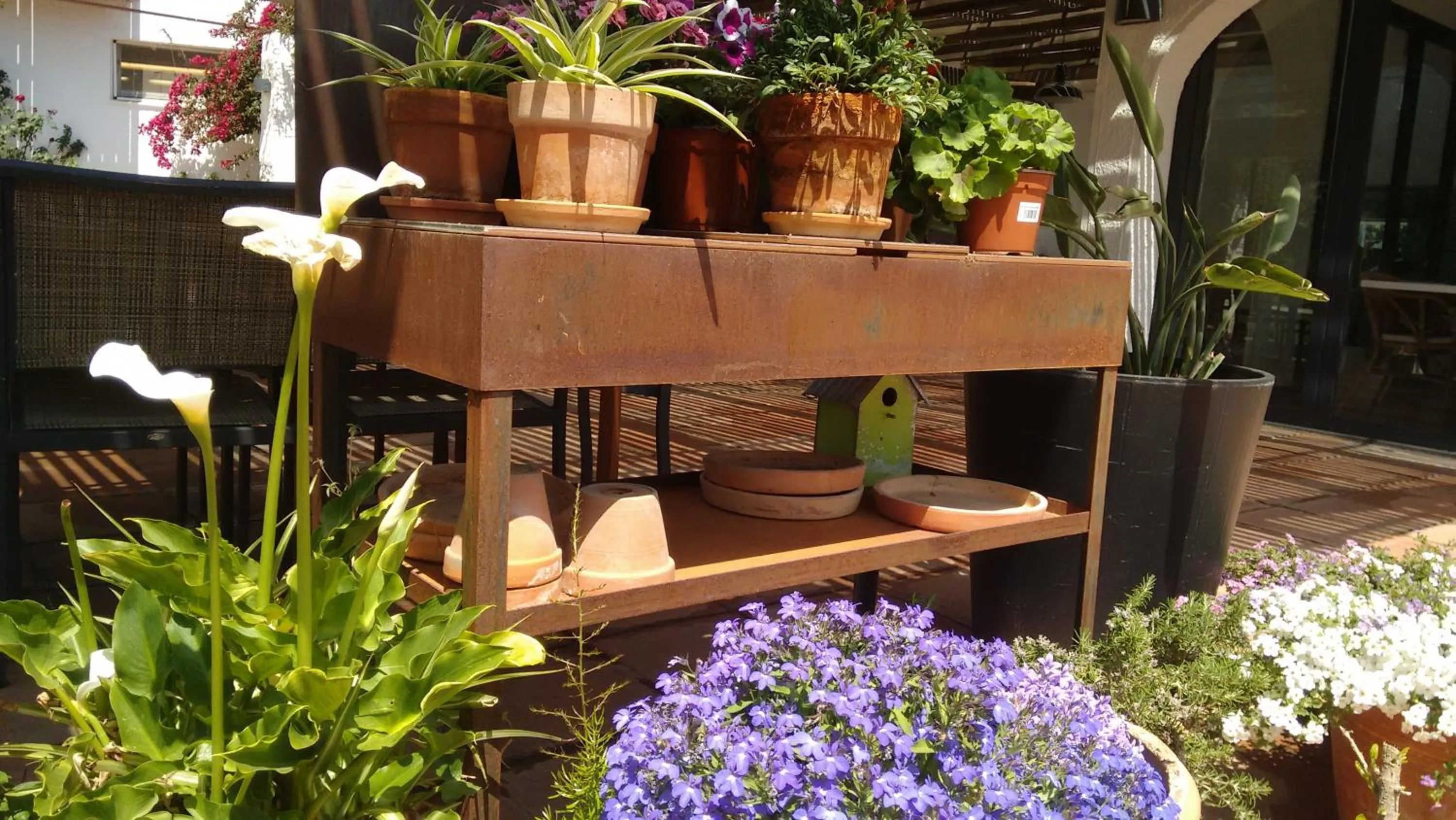 Garden in Horta d'en Rahola - Adults Only