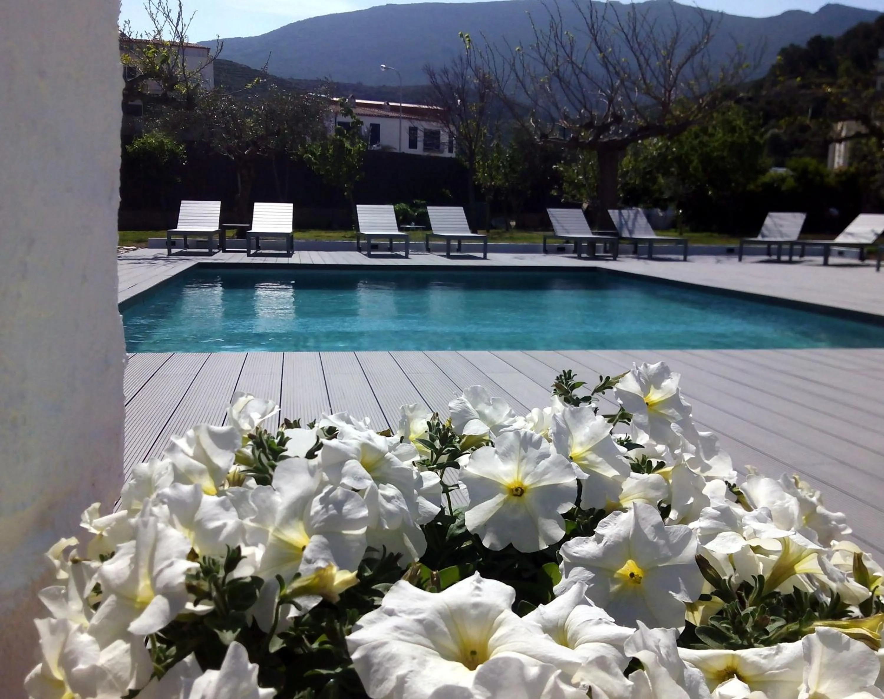 Swimming pool in Horta d'en Rahola - Adults Only