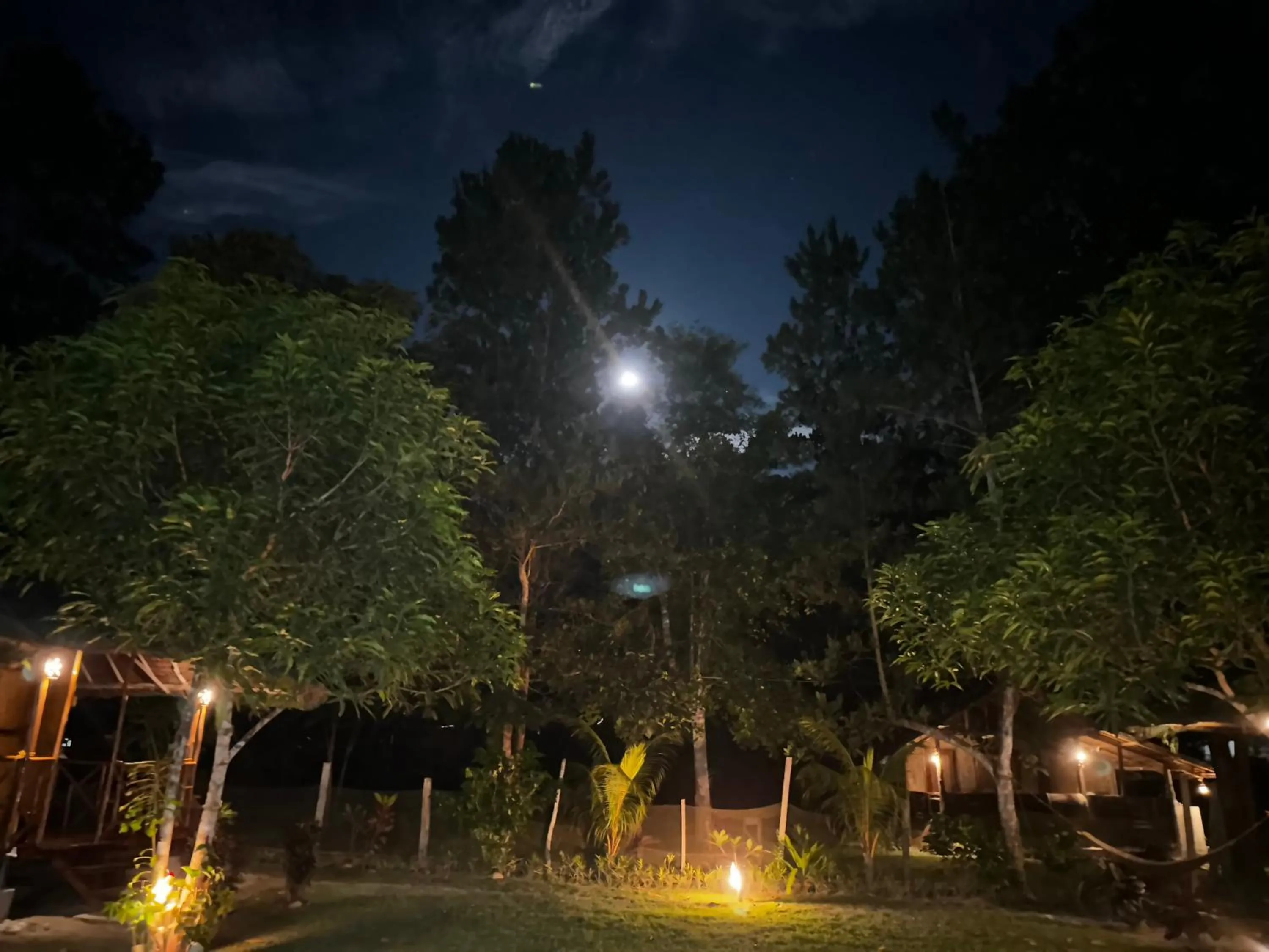 Property building in Back Trippers Inn