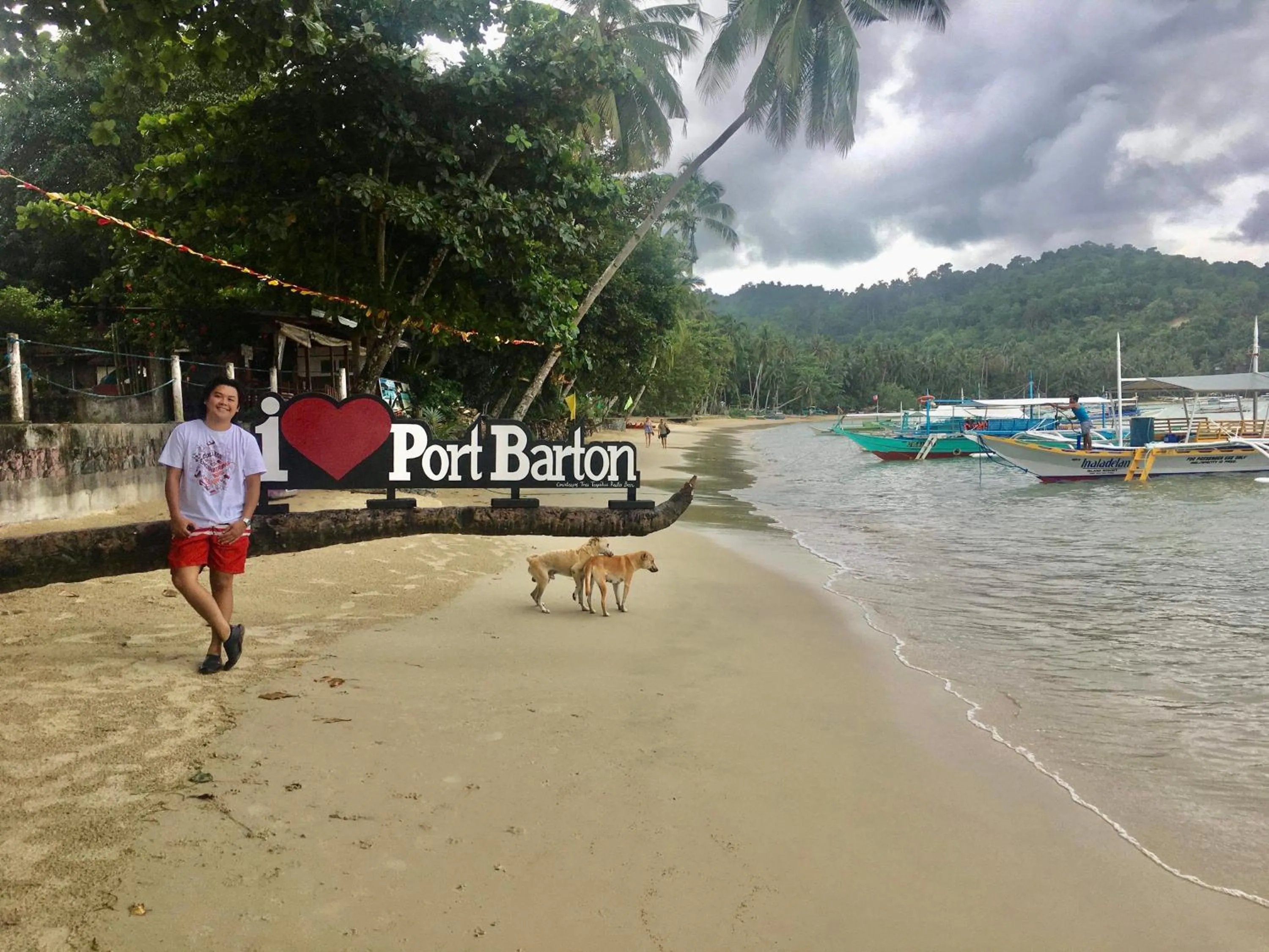 Beach in Back Trippers Inn