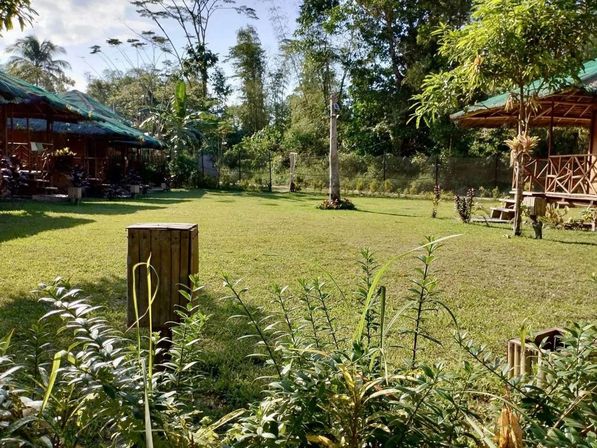 Garden view in Back Trippers Inn