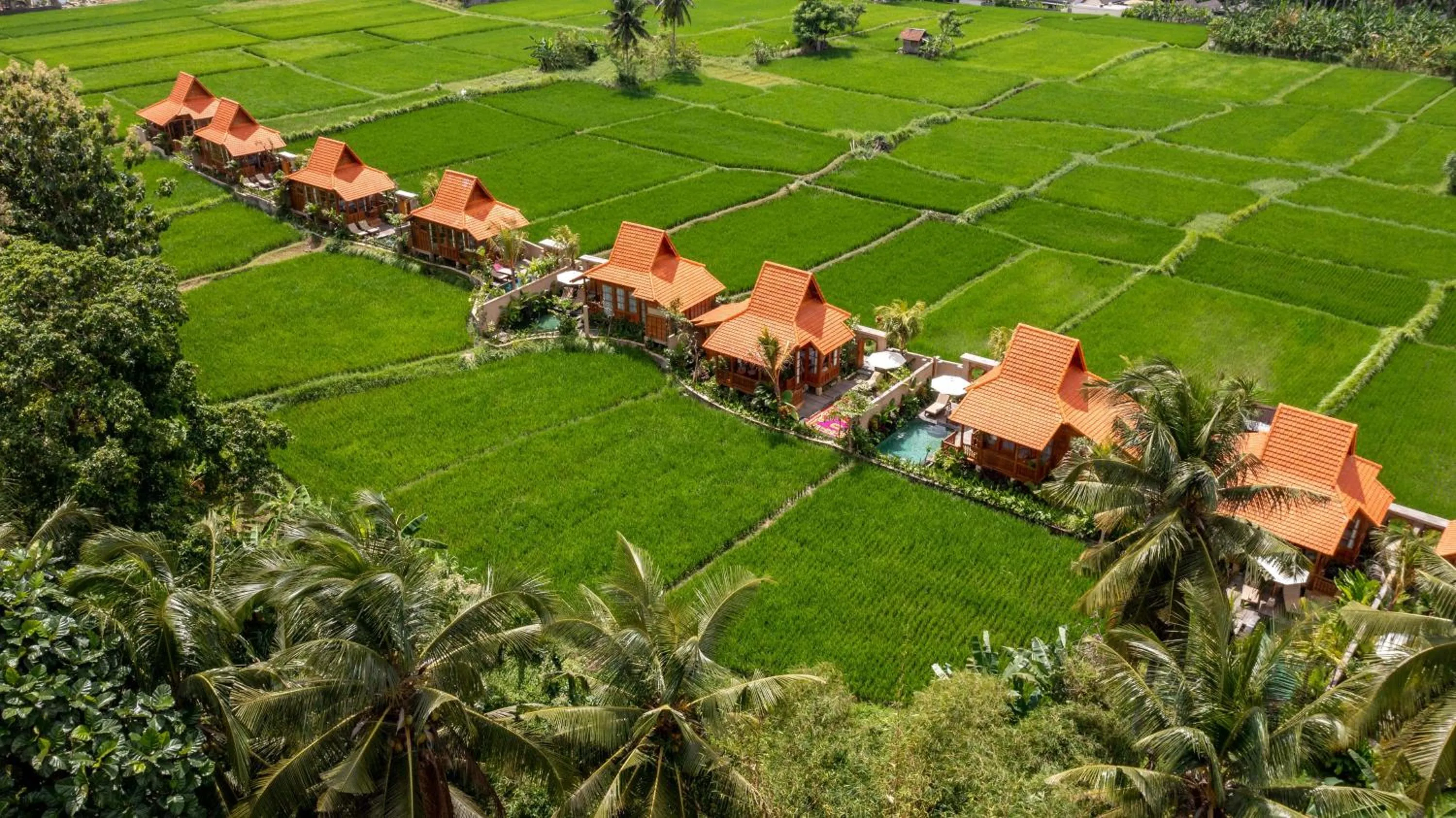 Property building in The Kalyana Ubud Resort