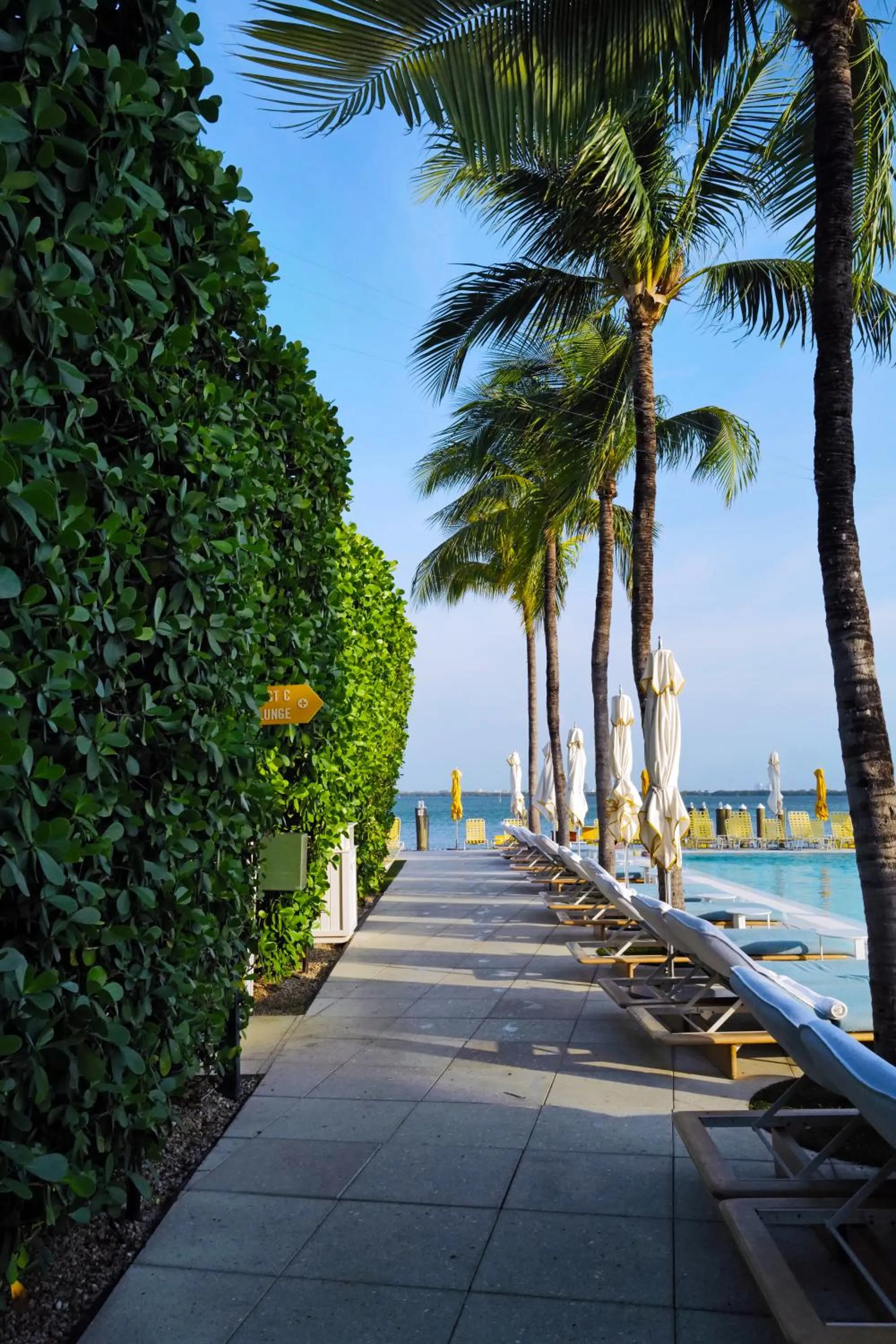 Pool view in The Standard Spa, Miami Beach