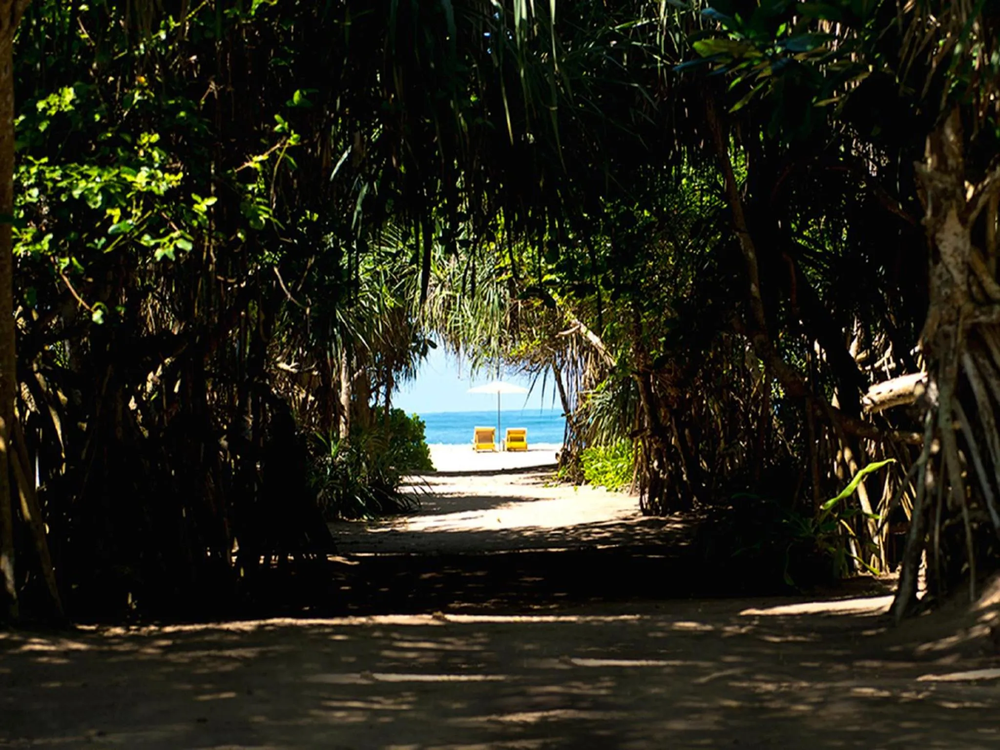 Beach in Palm Beach Inn & Sea Shells Cabanas