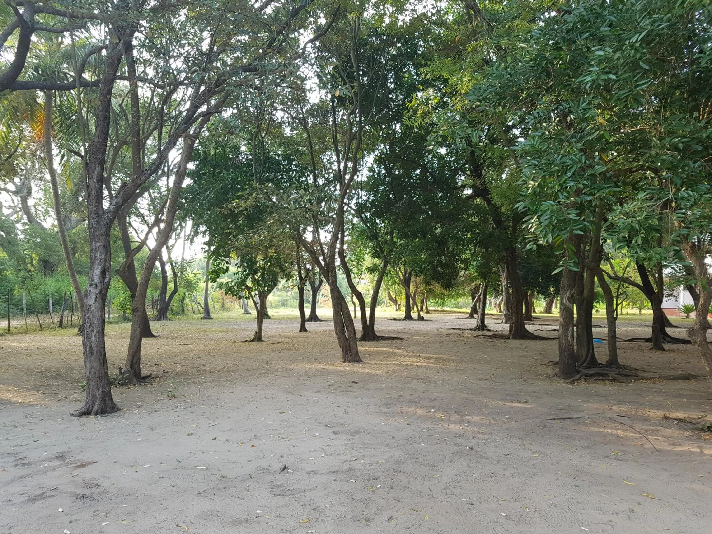 Garden in Secret Escape Nilaveli Ayurveda Hotel & Spa