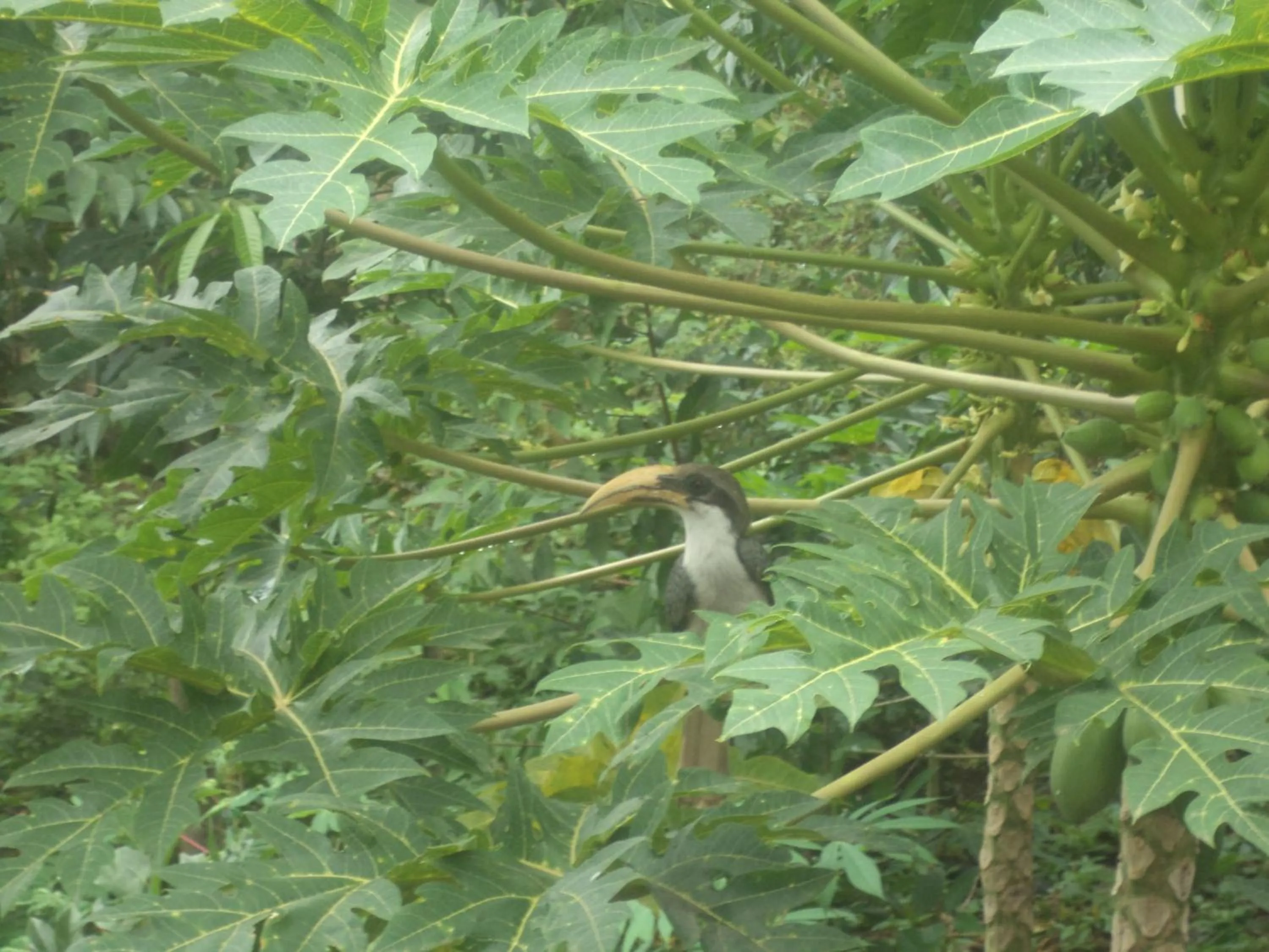 Day in Pleasure Island Holiday Home