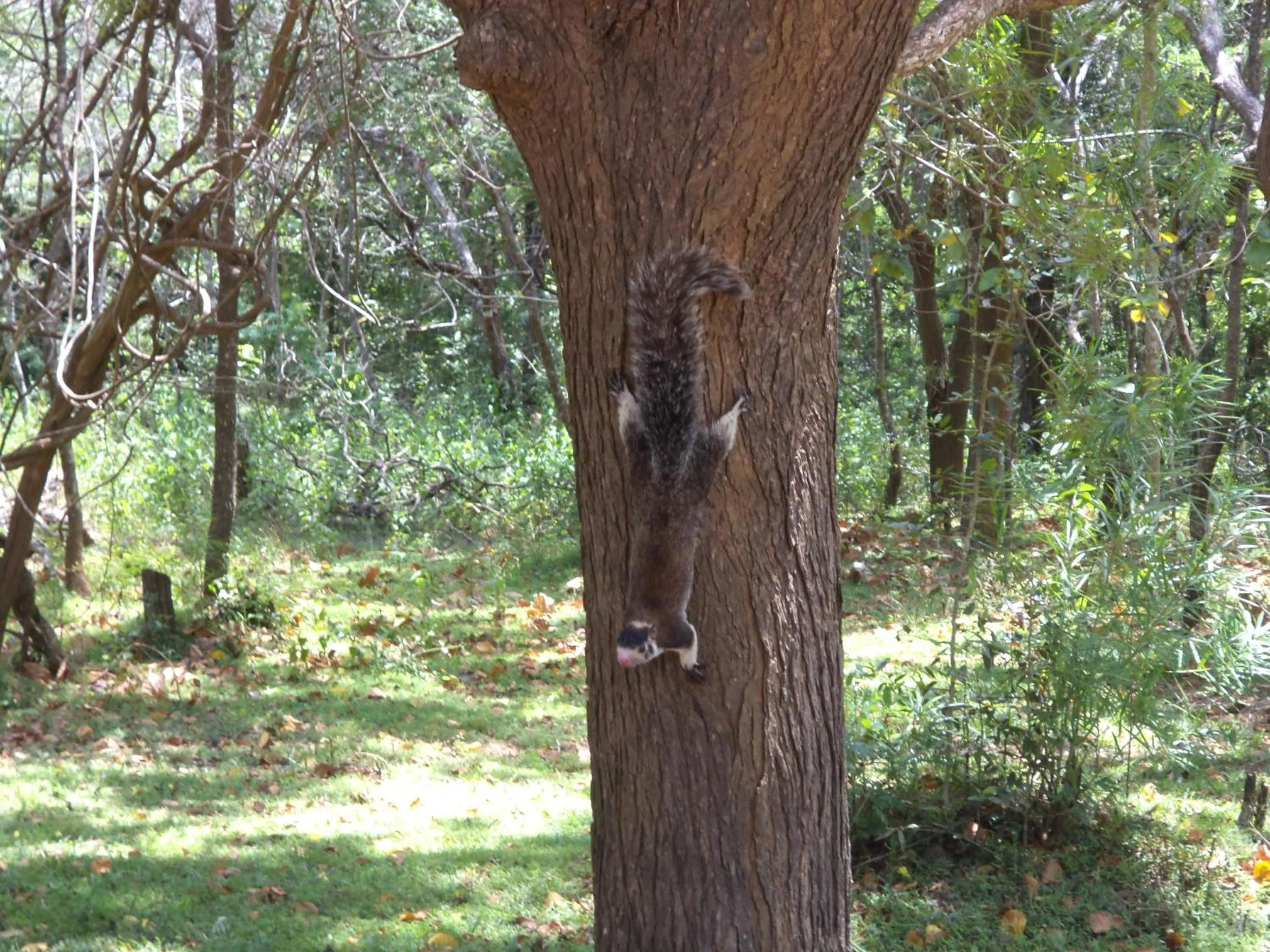 Day in Pleasure Island Holiday Home