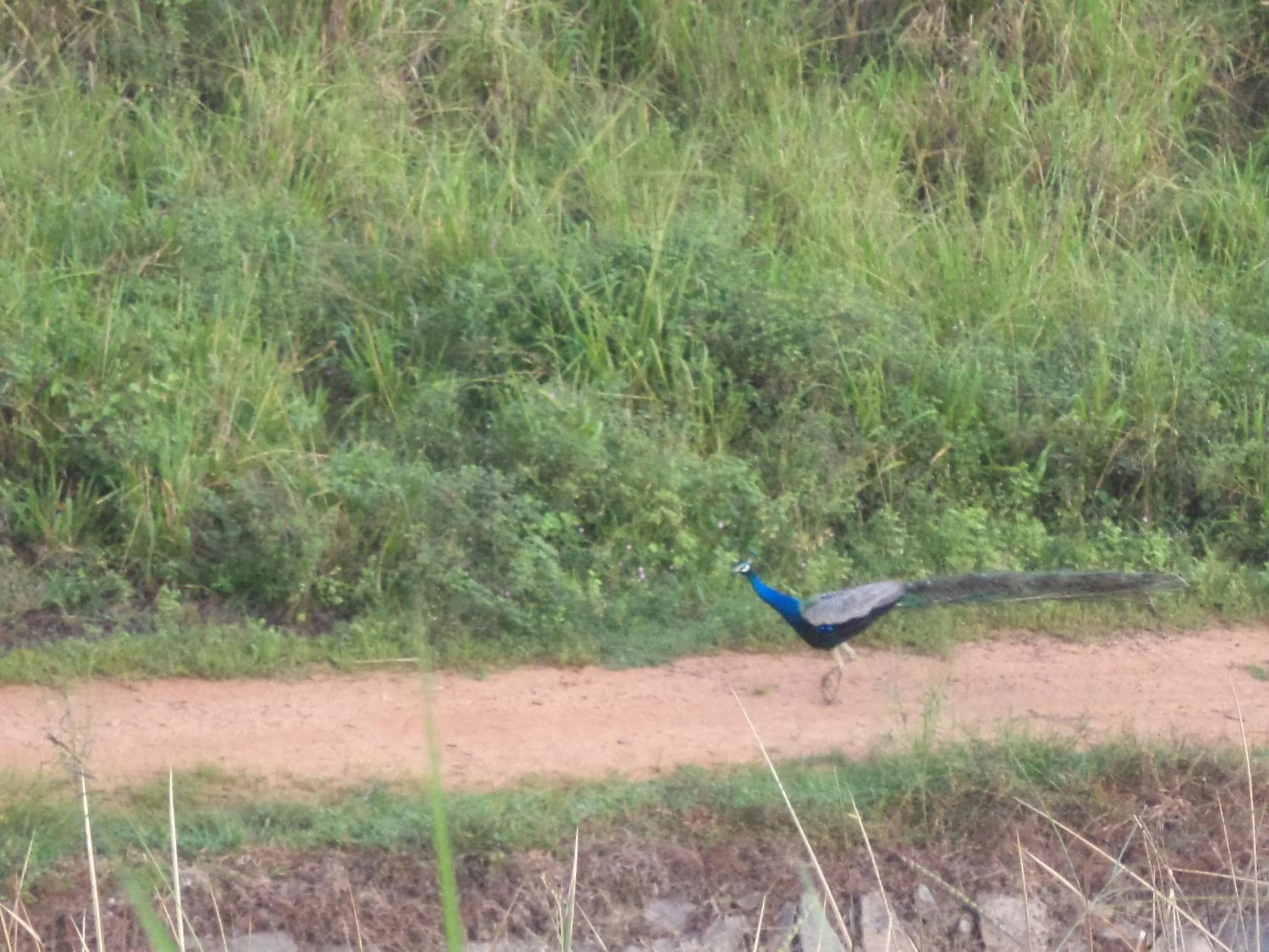 Day in Pleasure Island Holiday Home