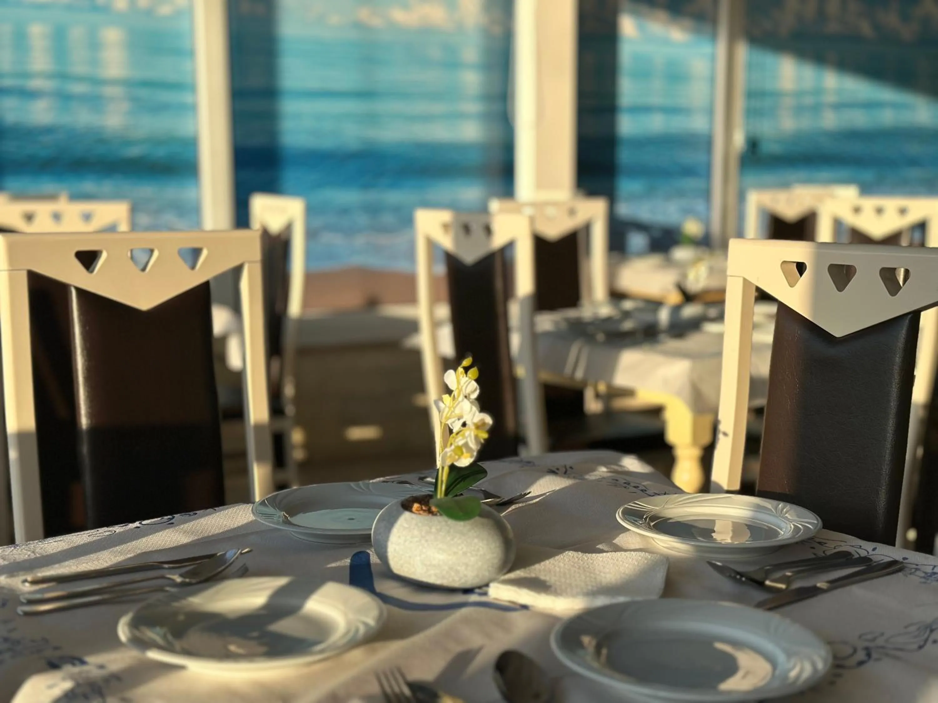 Restaurant/places to eat in Hotel Bella Vista