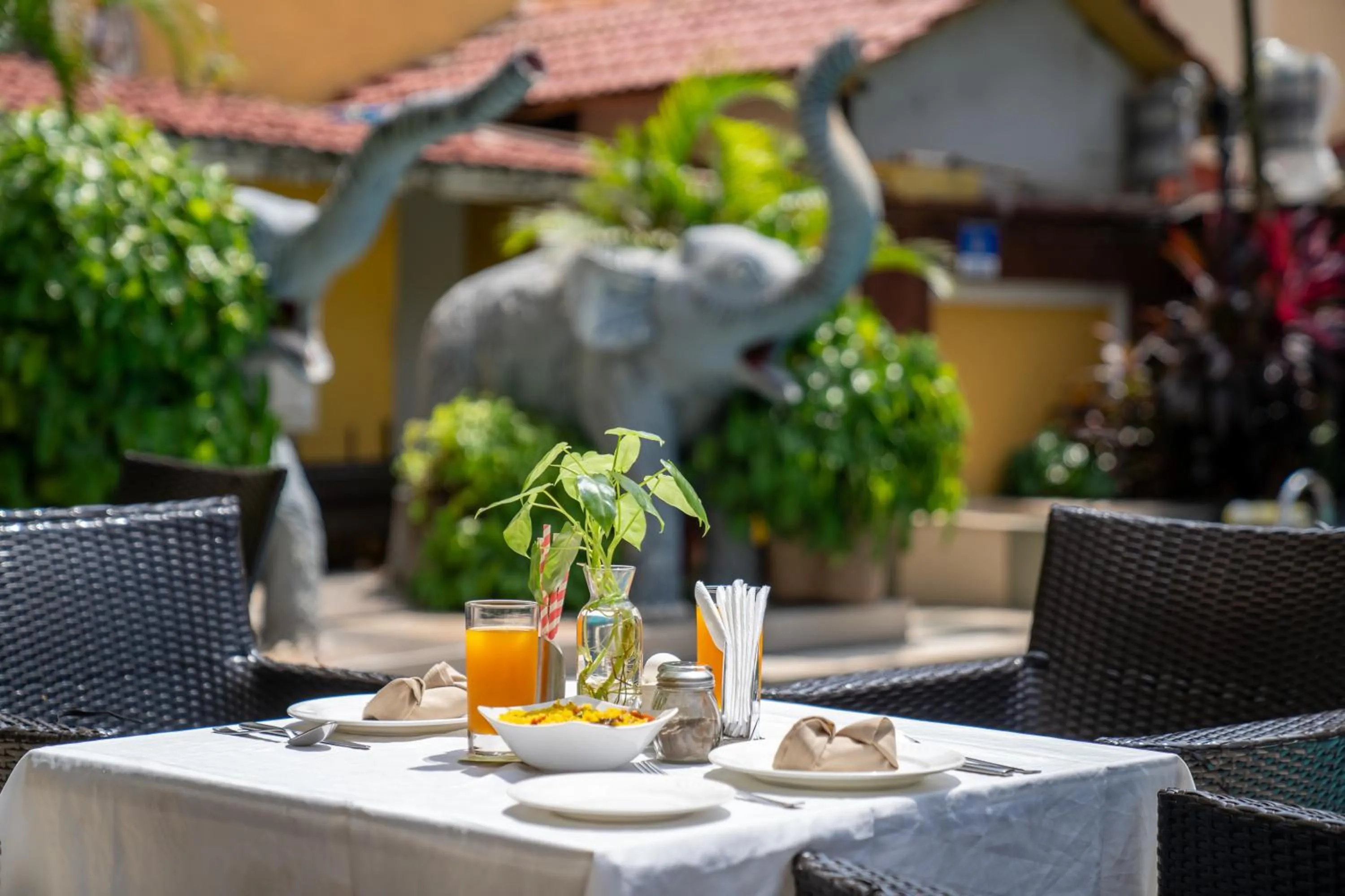 Food close-up in De Alturas Resort