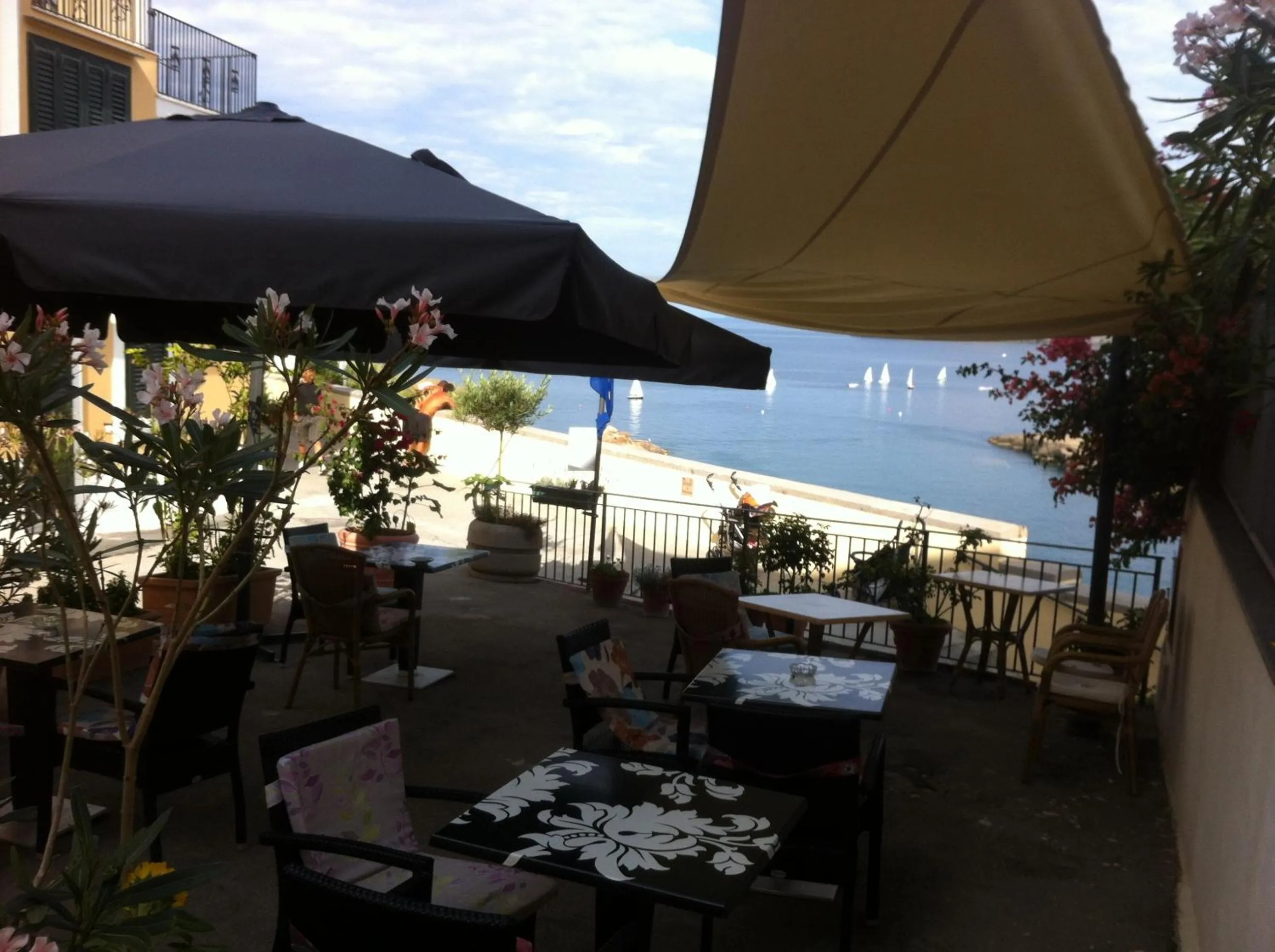 Restaurant/places to eat in Hotel Villa Iulia