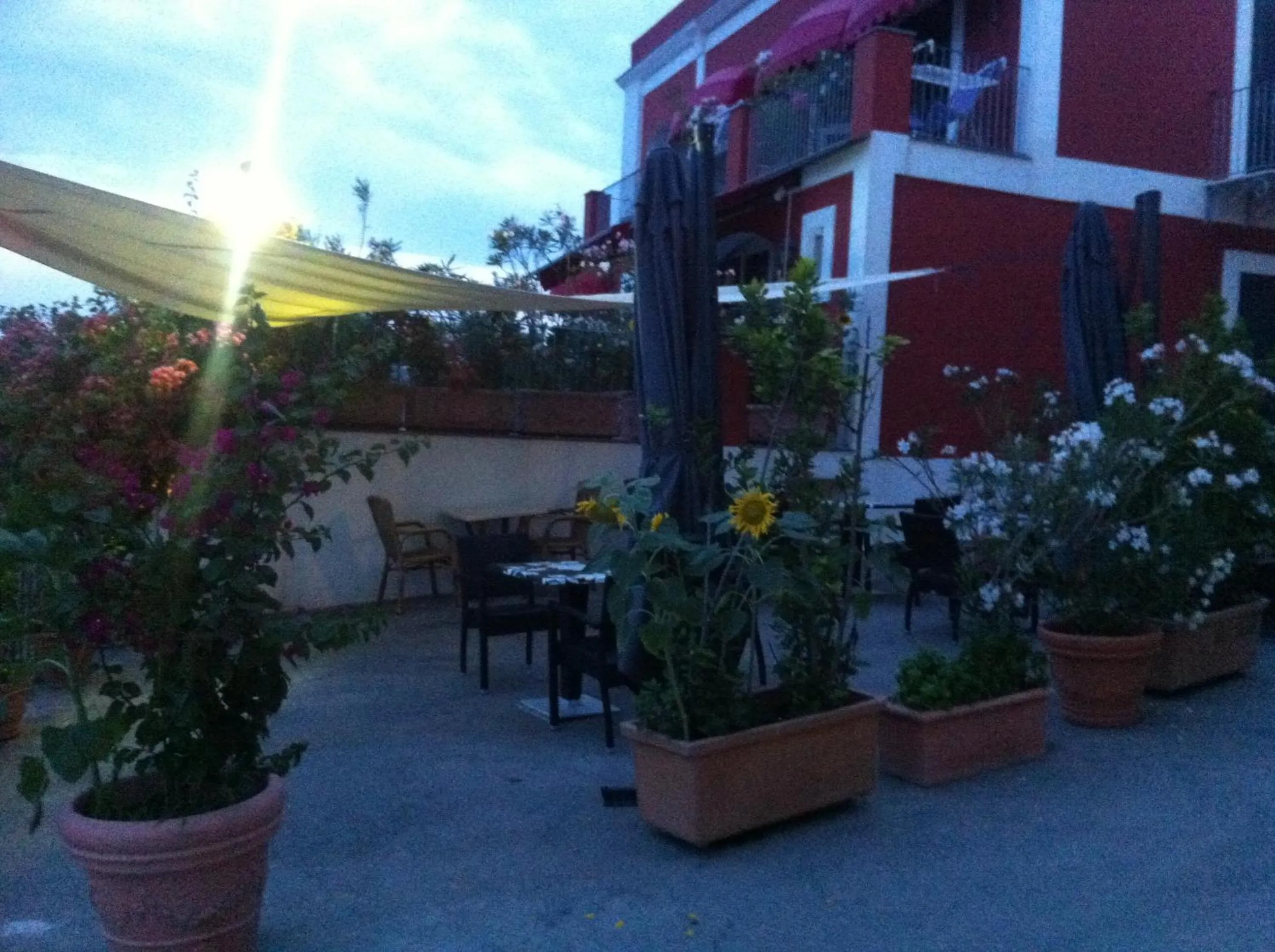 Facade/entrance in Hotel Villa Iulia