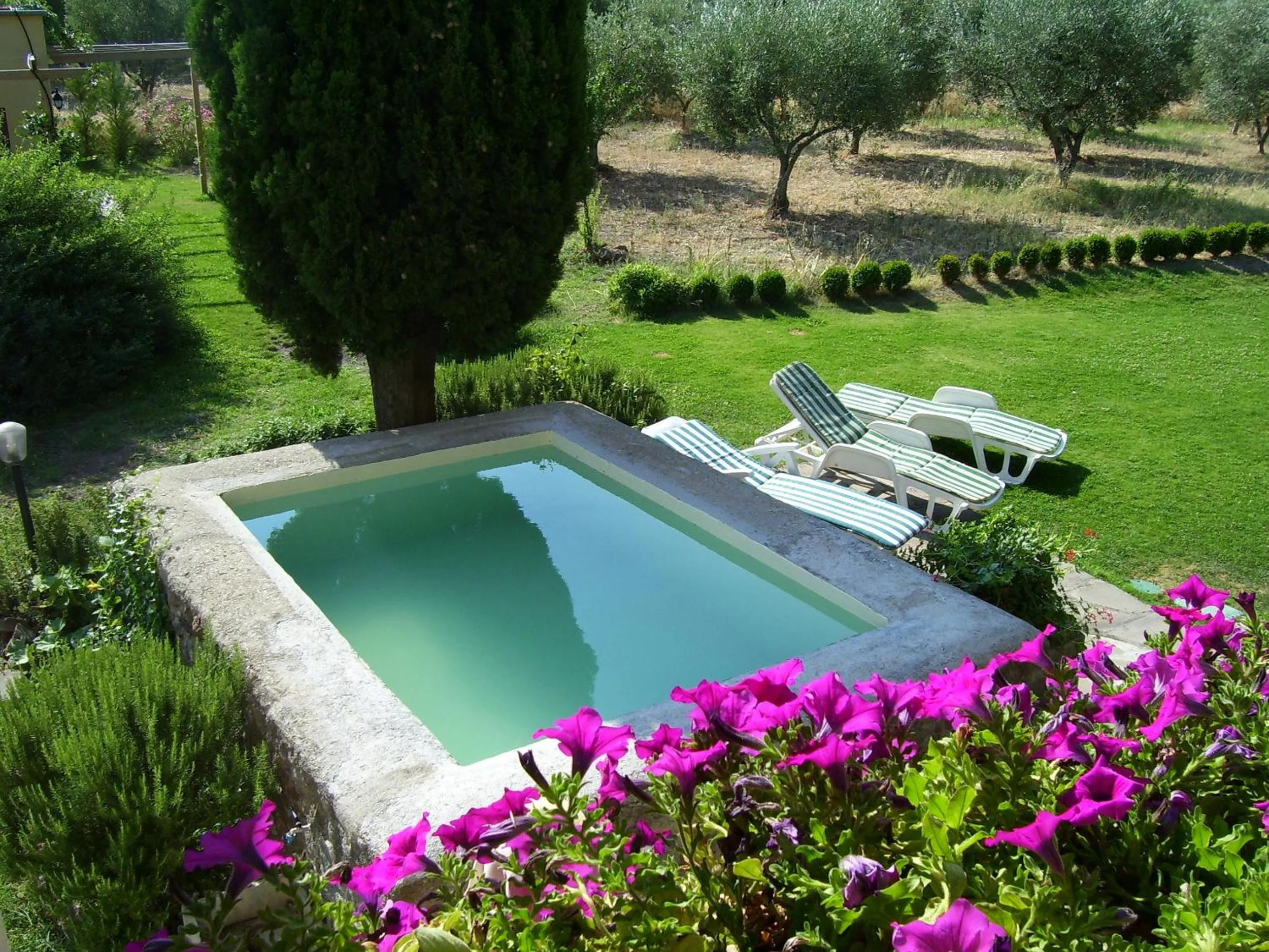 Spring in Le Pozze Terme B&B
