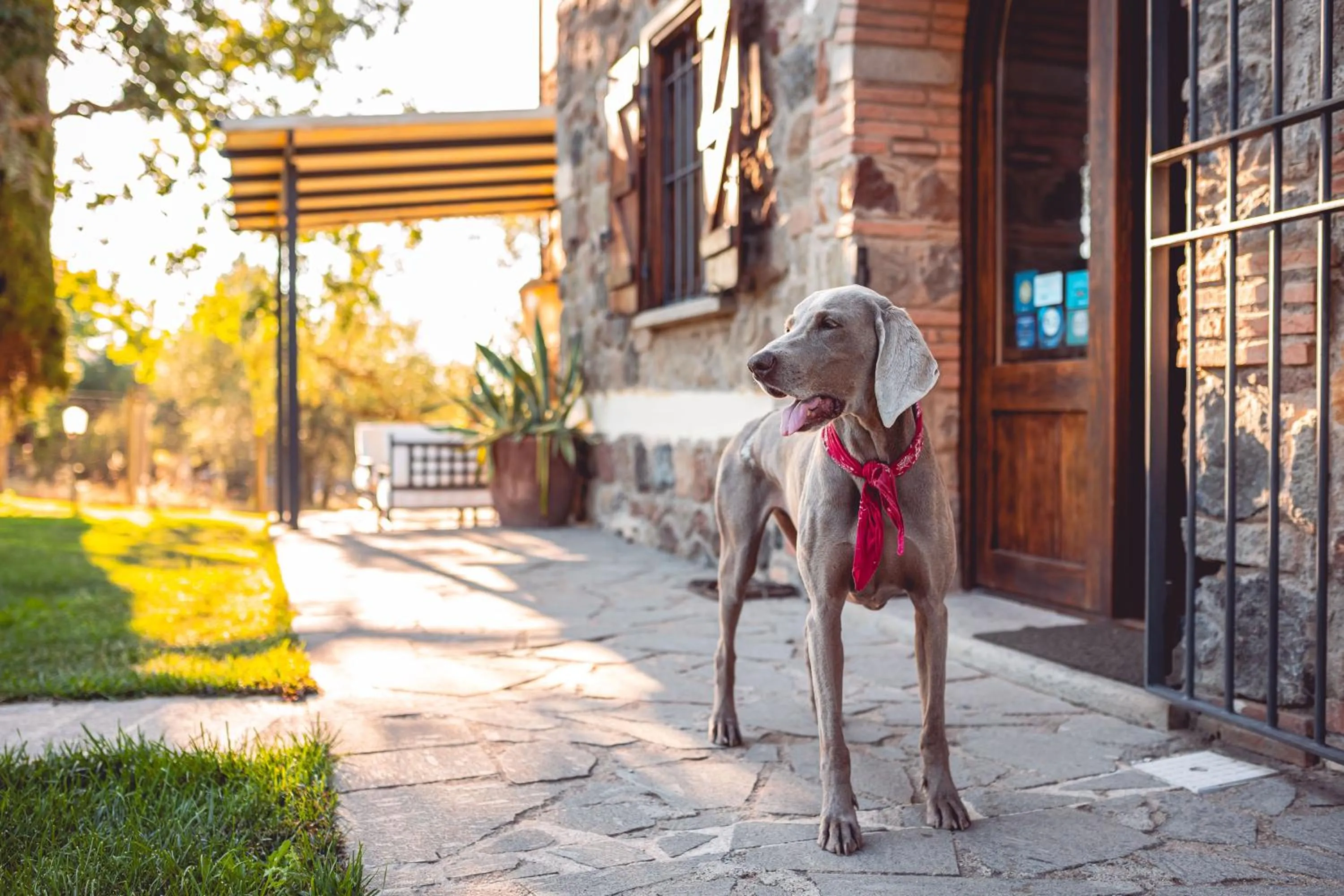 Day in Le Pozze Terme B&B