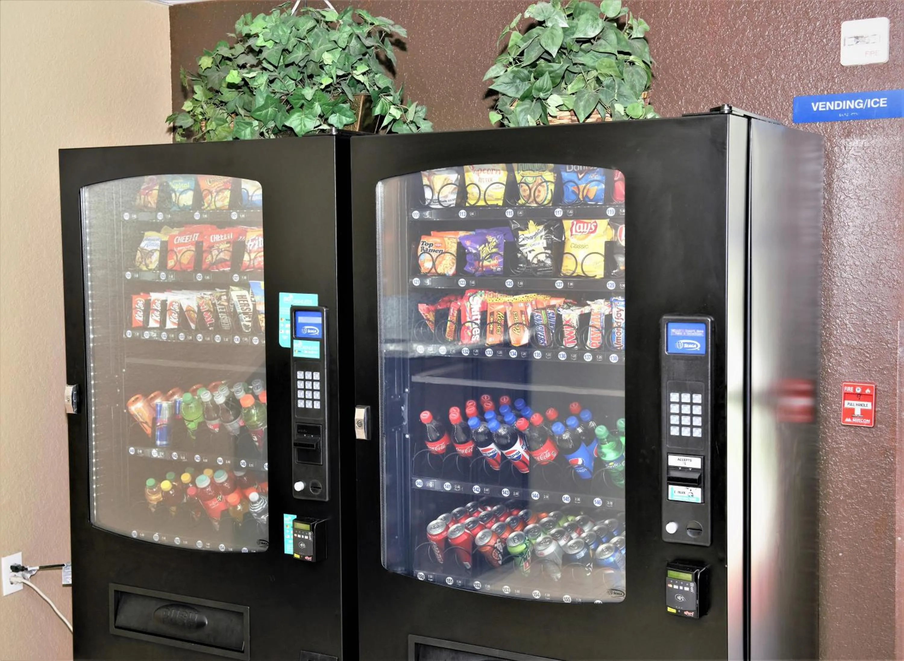 Non alcoholic drinks in Microtel Inn & Suites by Wyndham Jacksonville Airport