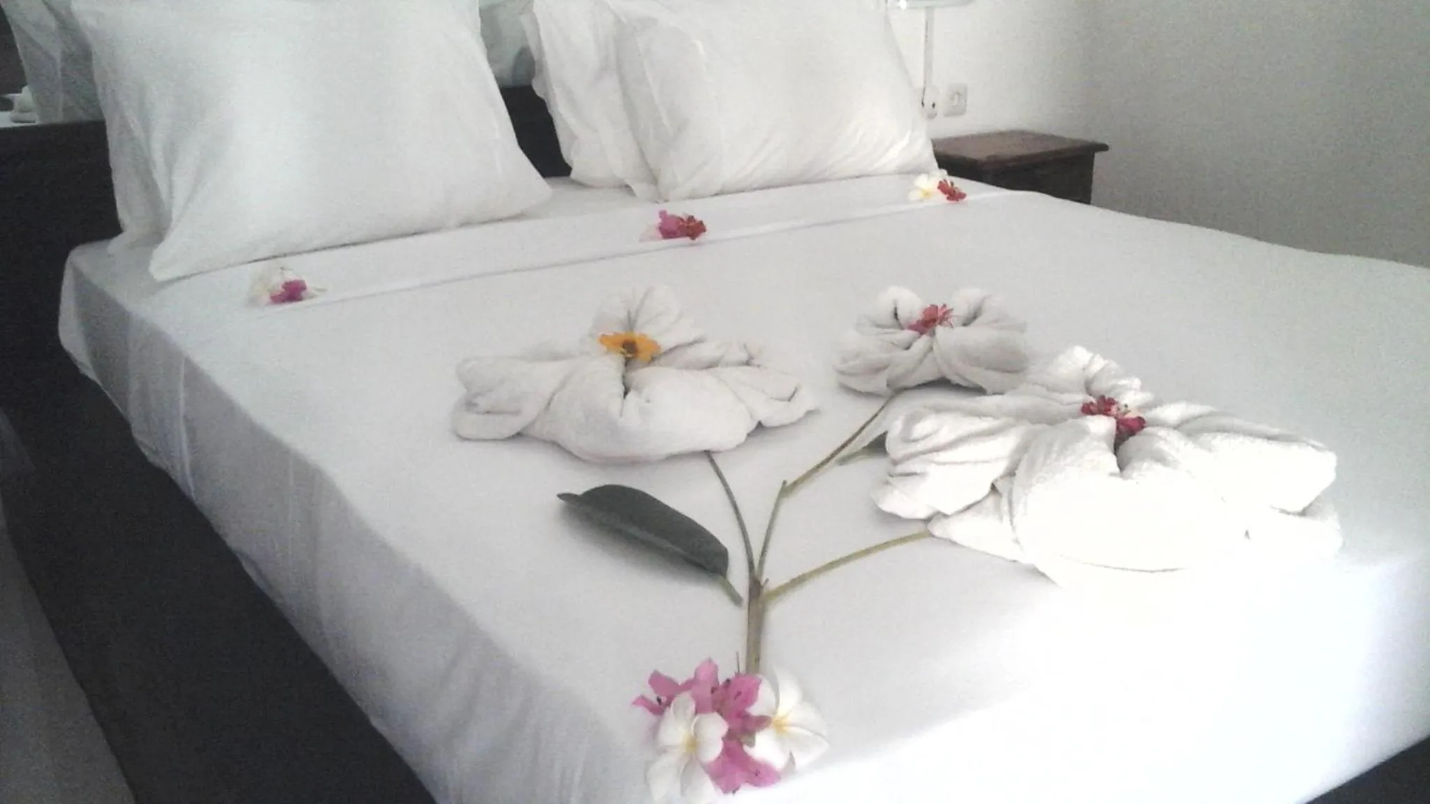 Bed in villa tom and jerry