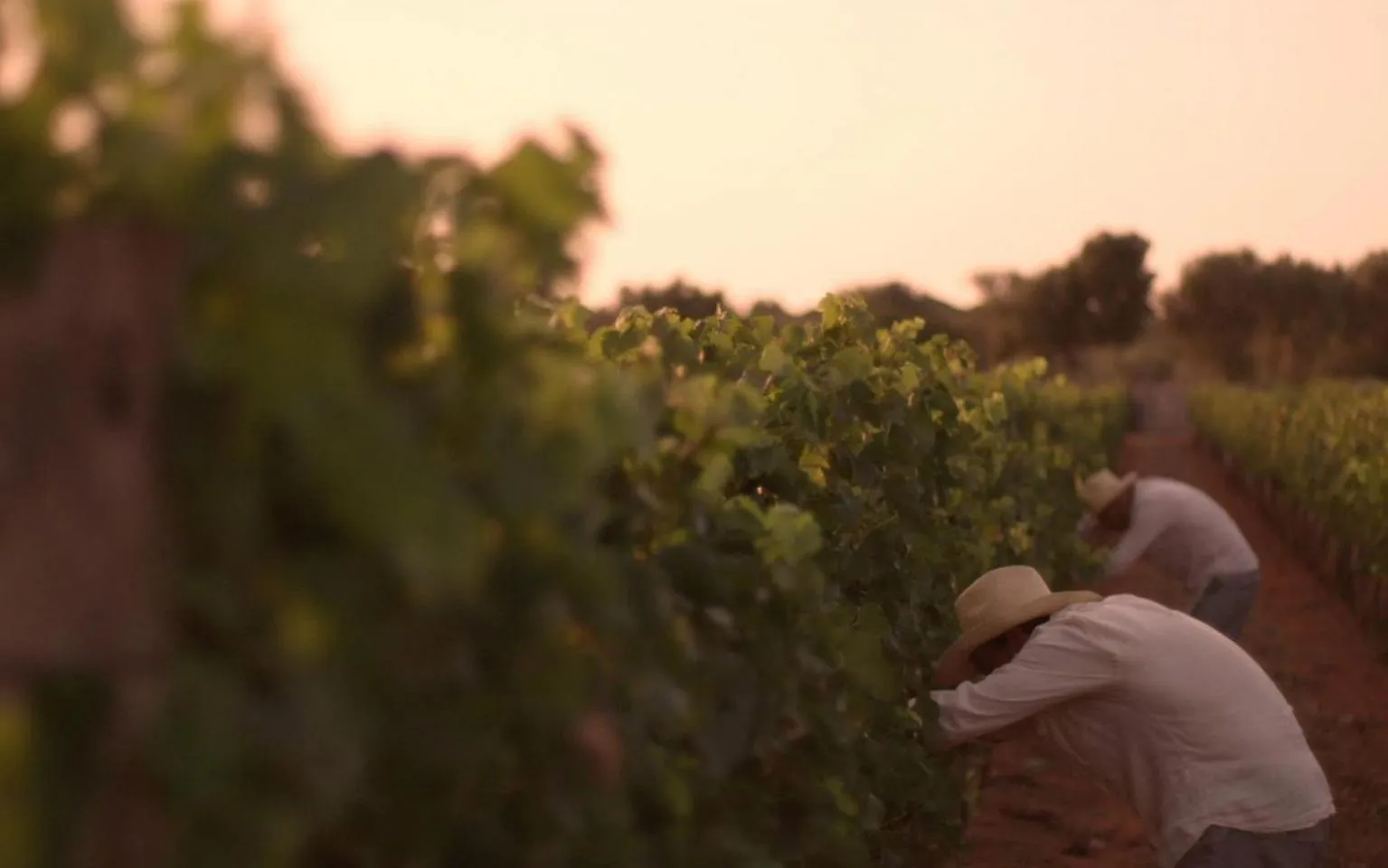 Other in Hotel Ariosto