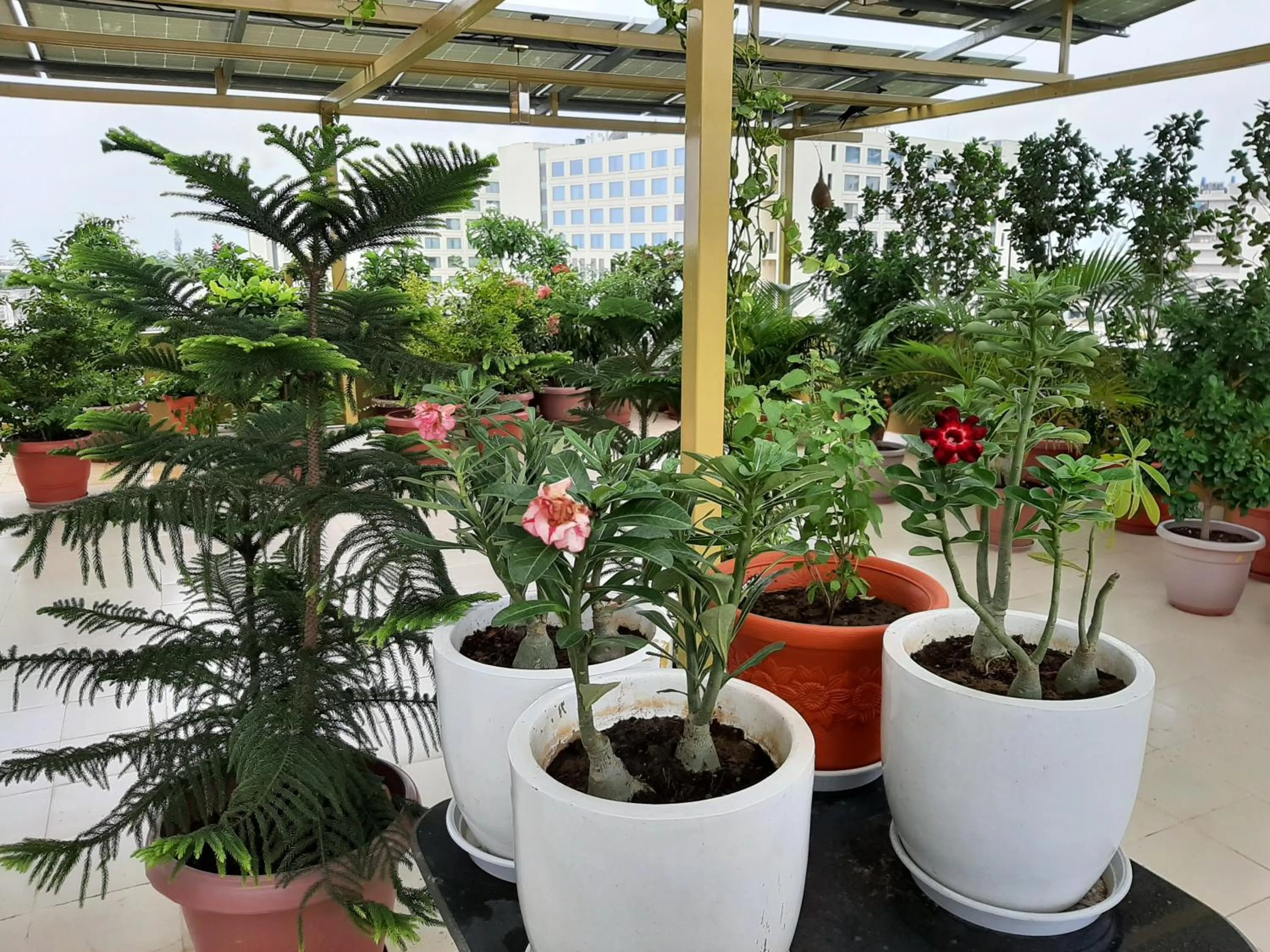Balcony/Terrace in Jeenmount Heritage Boutique Hotel