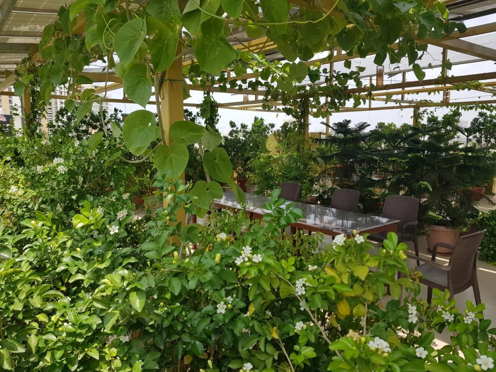 Property building in Jeenmount Heritage Boutique Hotel